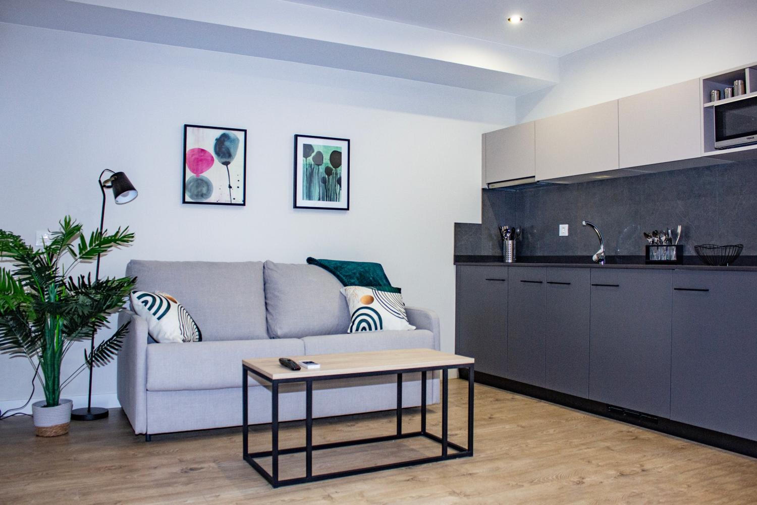 One-Bedroom Apartment with Terrace photo 2