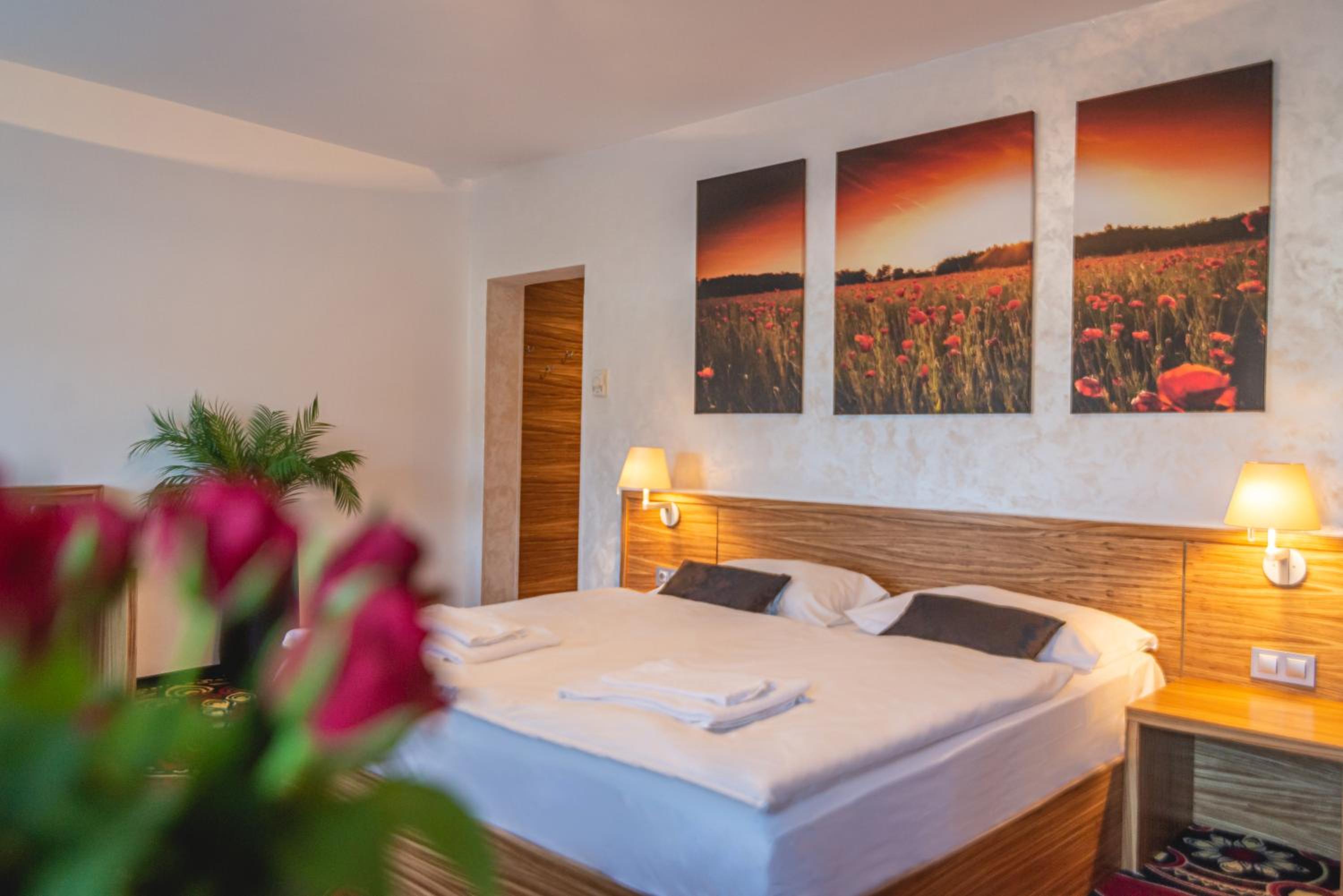 Superior Suite photo 1