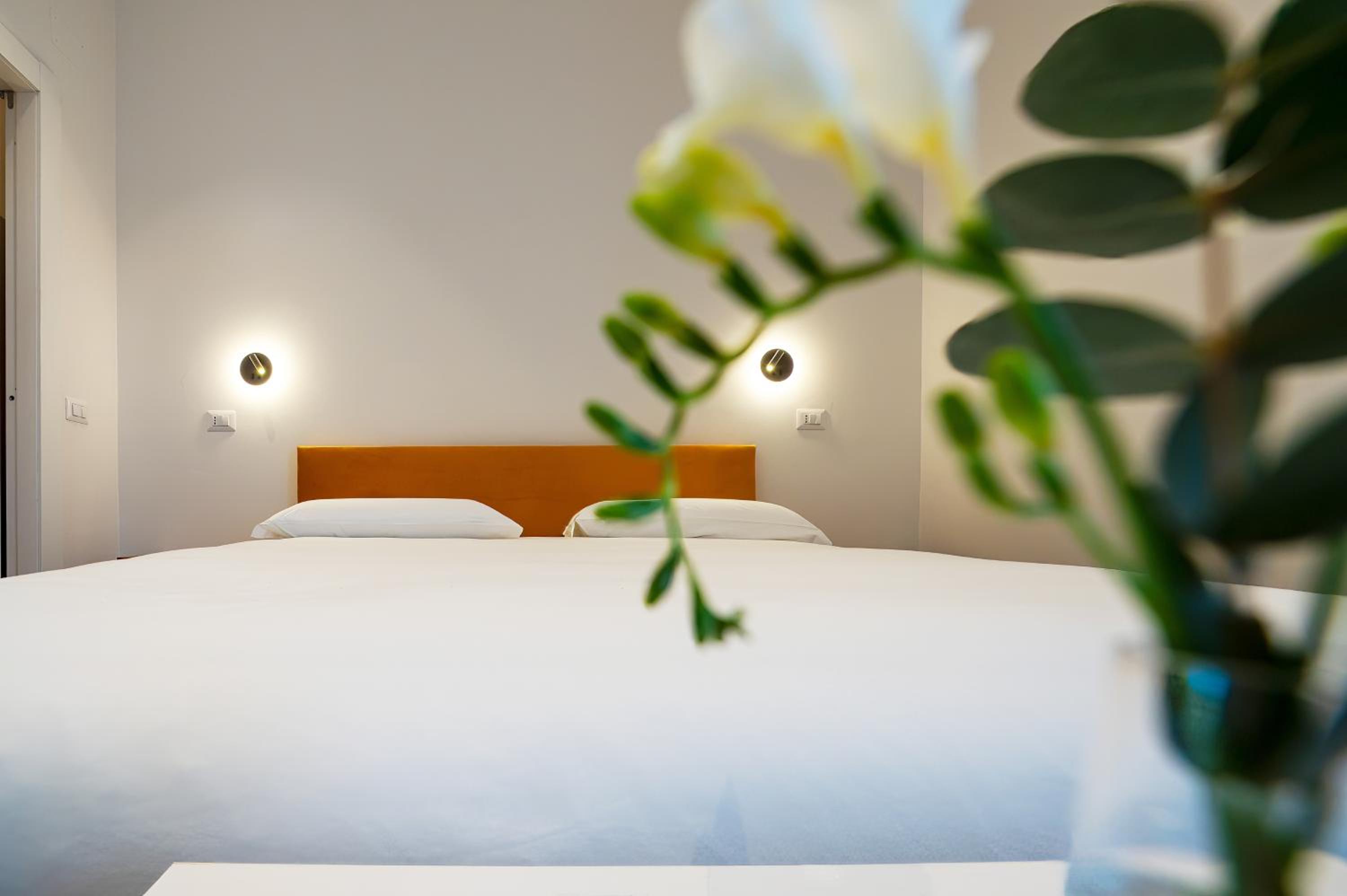 Double Room with Terrace photo 3