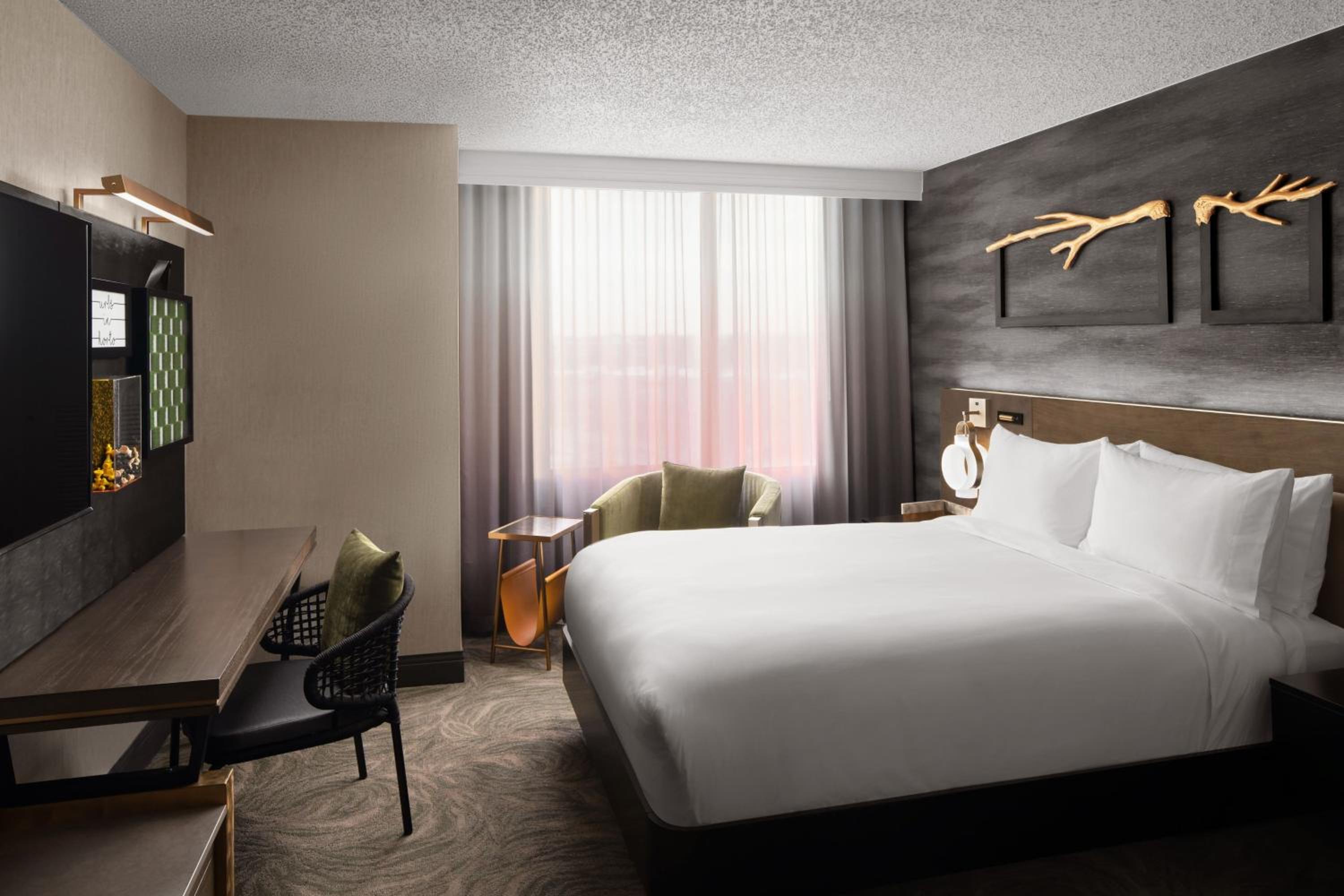 Newly Renovated, Guest room, 1 Queen - Photo 7