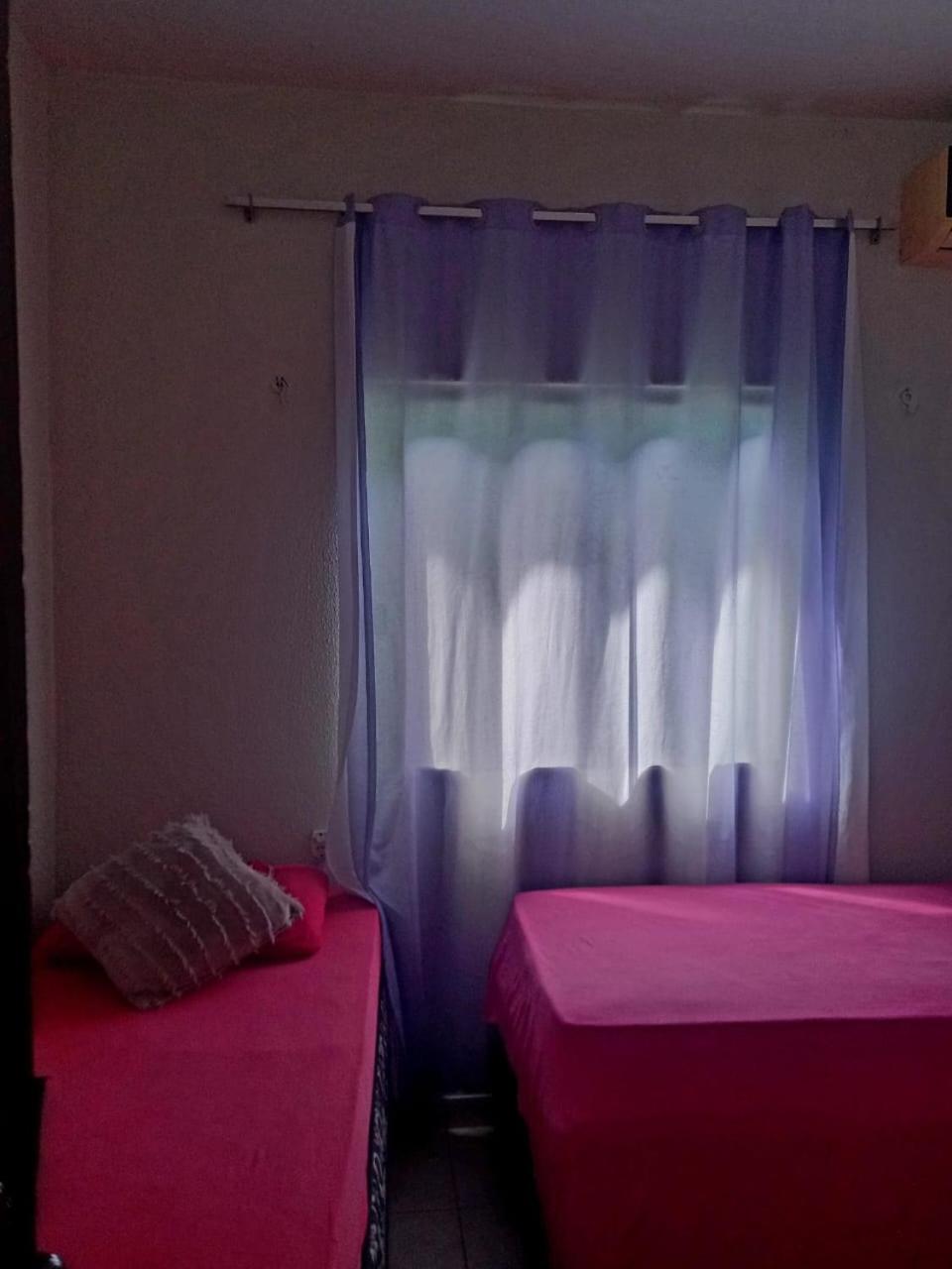 Single Bed in Female Dormitory Room photo 1