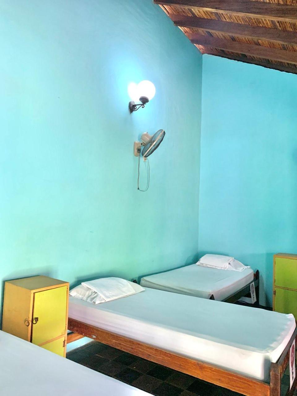 Single Bed in Mixed Dormitory Room photo 2