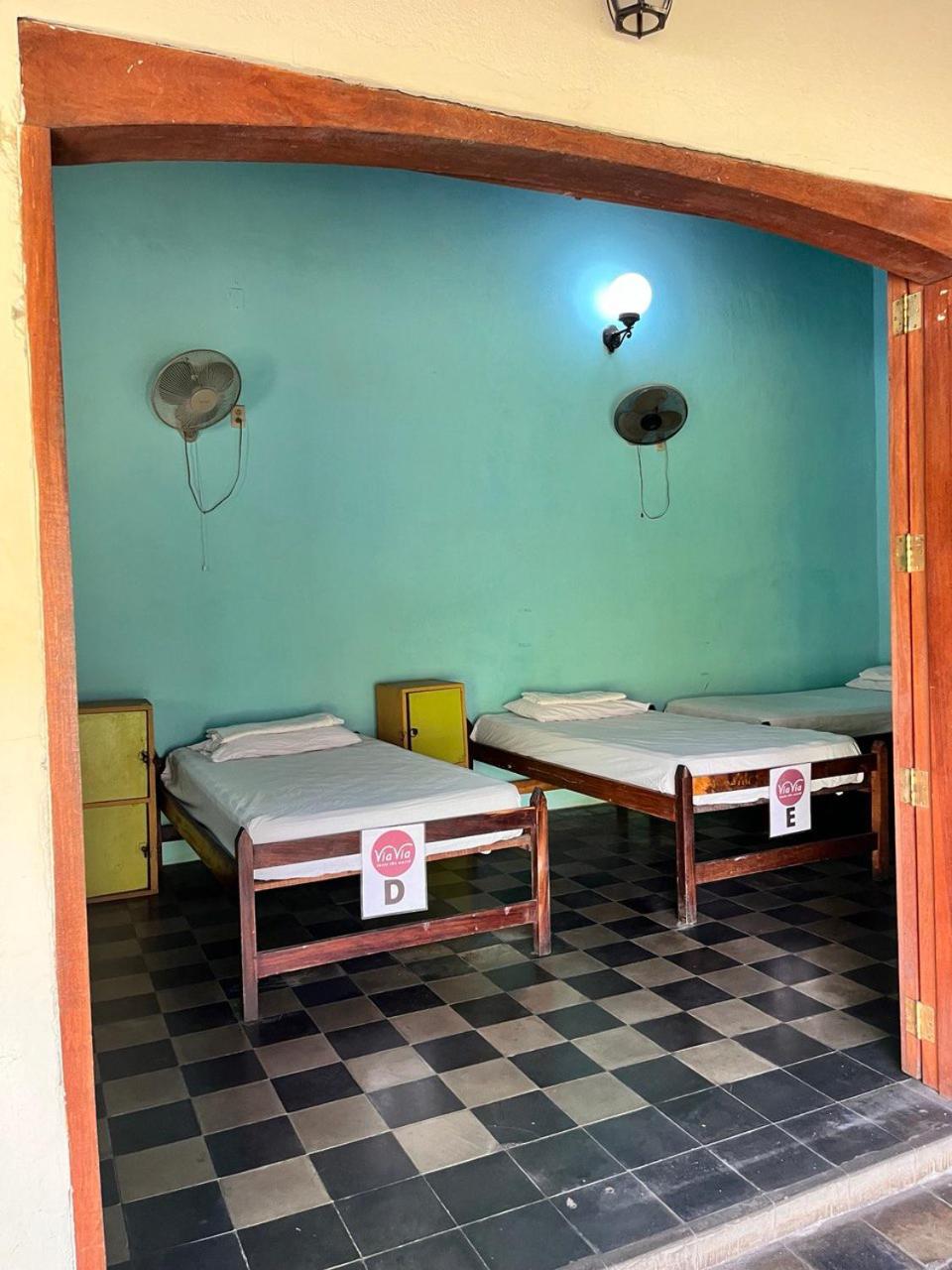 Single Bed in Mixed Dormitory Room photo 3