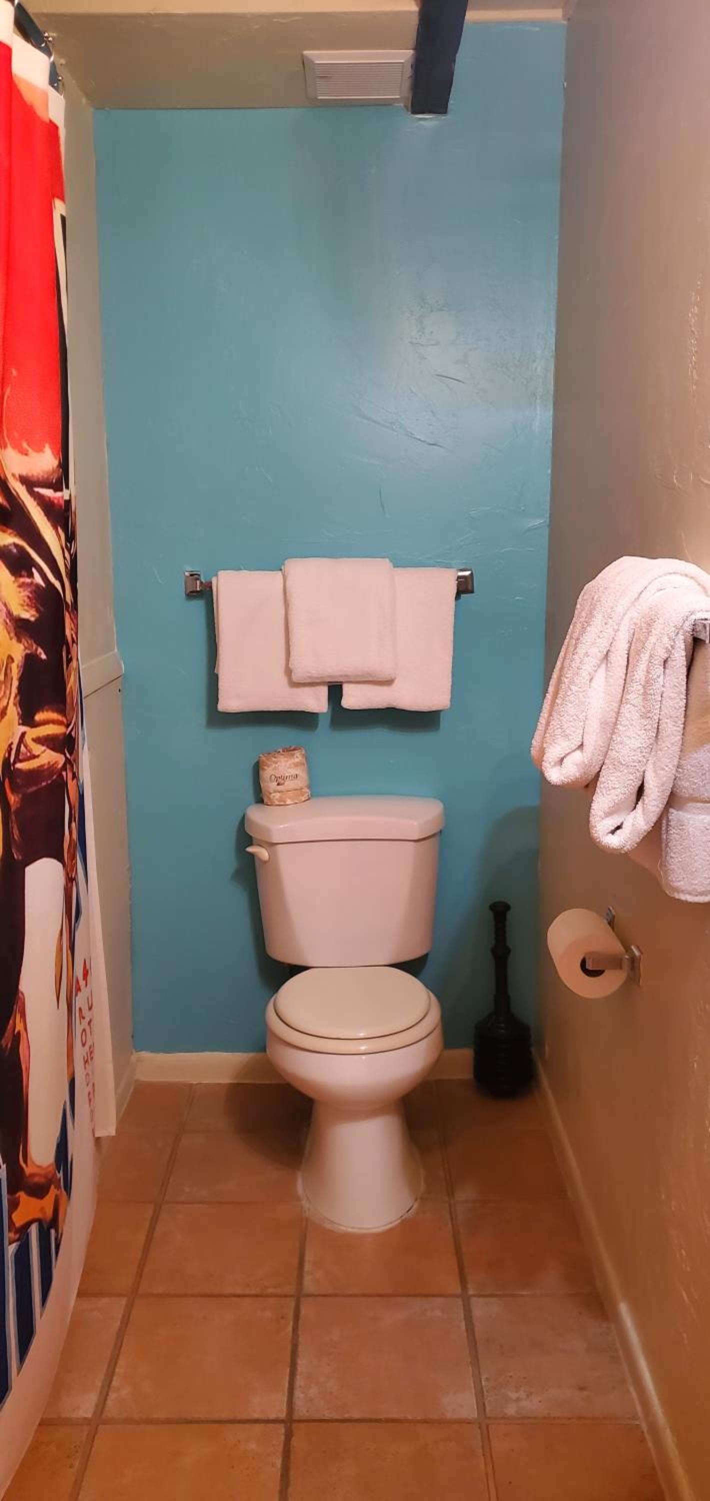 Deluxe King Suite photo 3