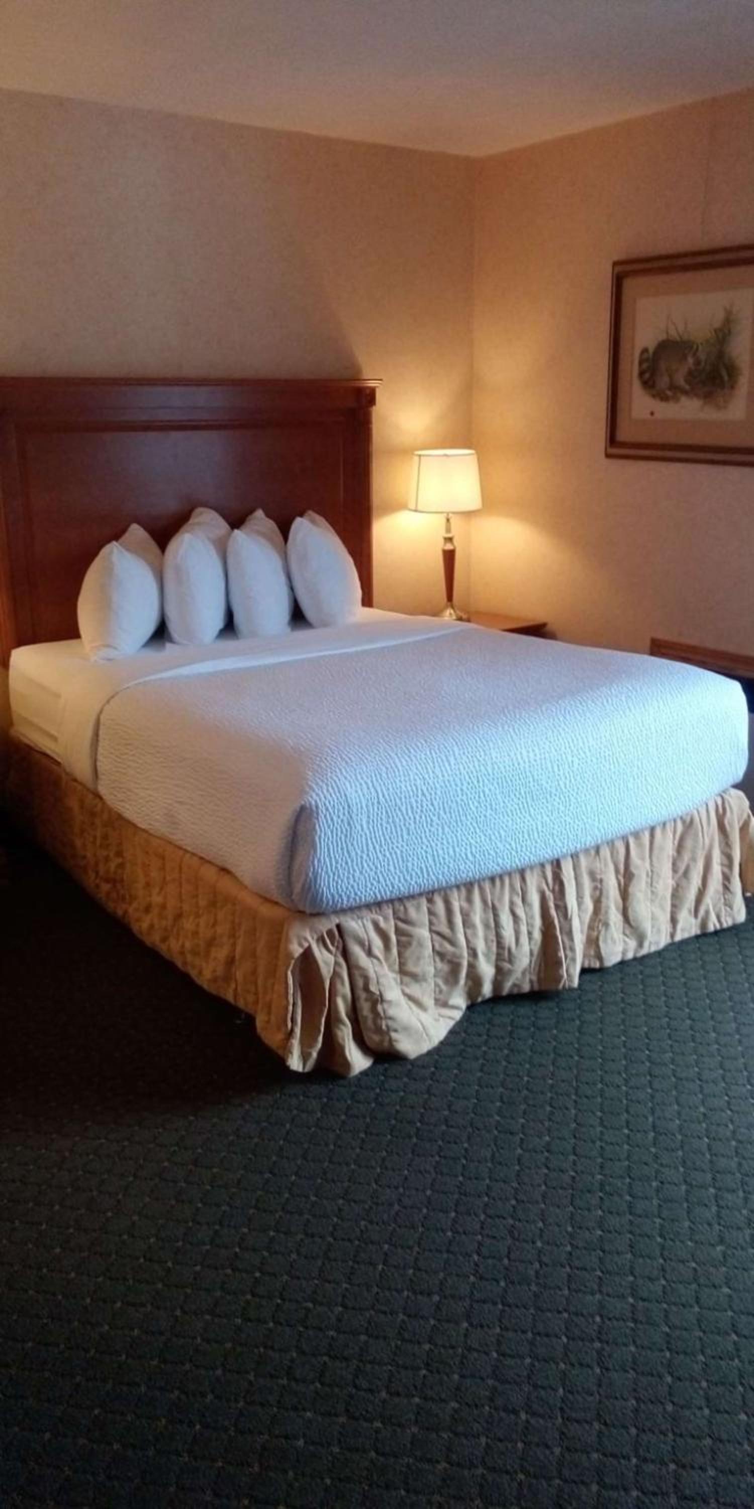 Queen Room with River View - Non-smoking - Photo 1