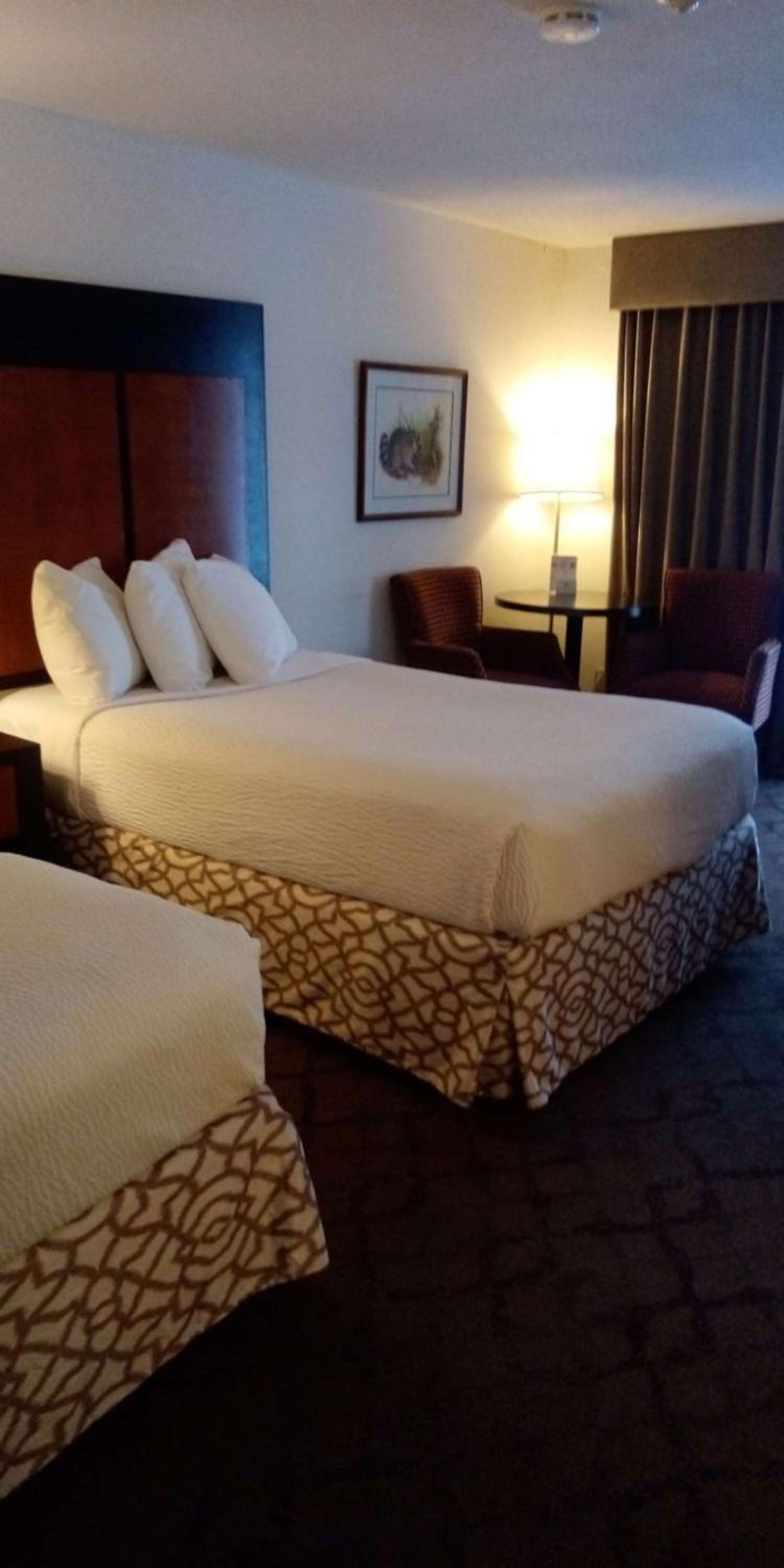 Double Room with Two Double Beds with River View - Non-smoking - Photo 7