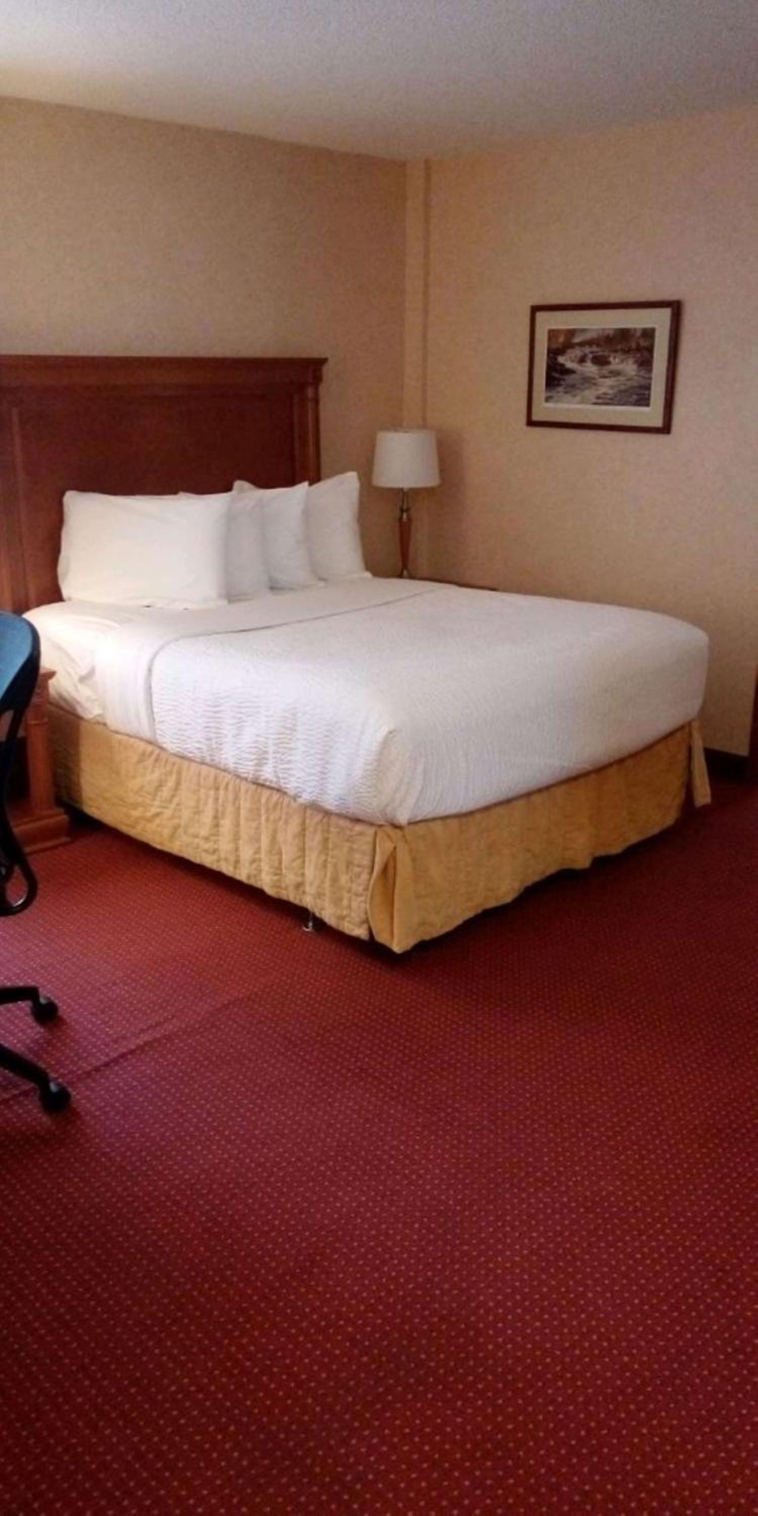Queen Suite with Sofa Bed with Kitchenette - Non-smoking photo 1