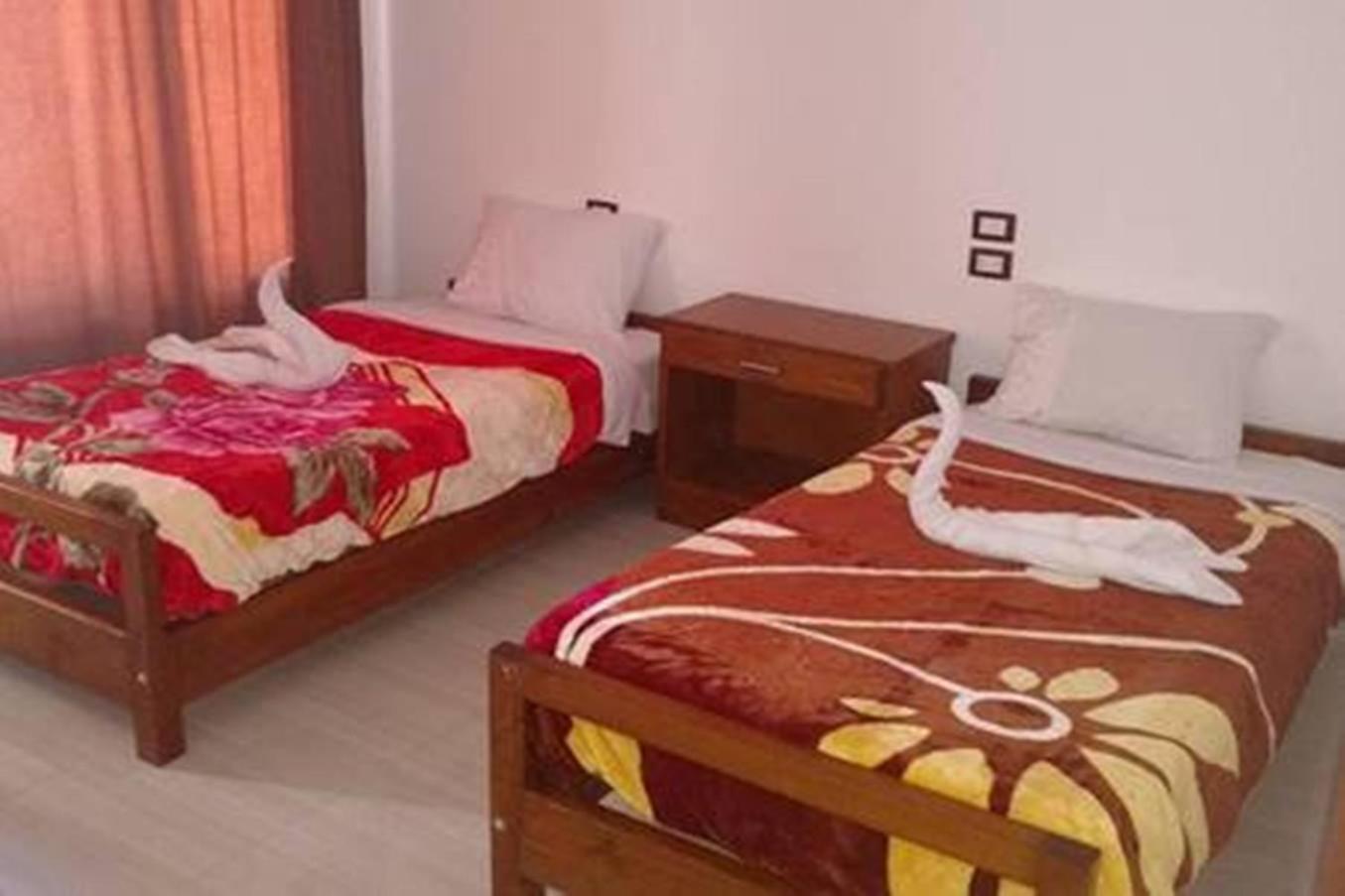Single Room with Mountain View photo 3