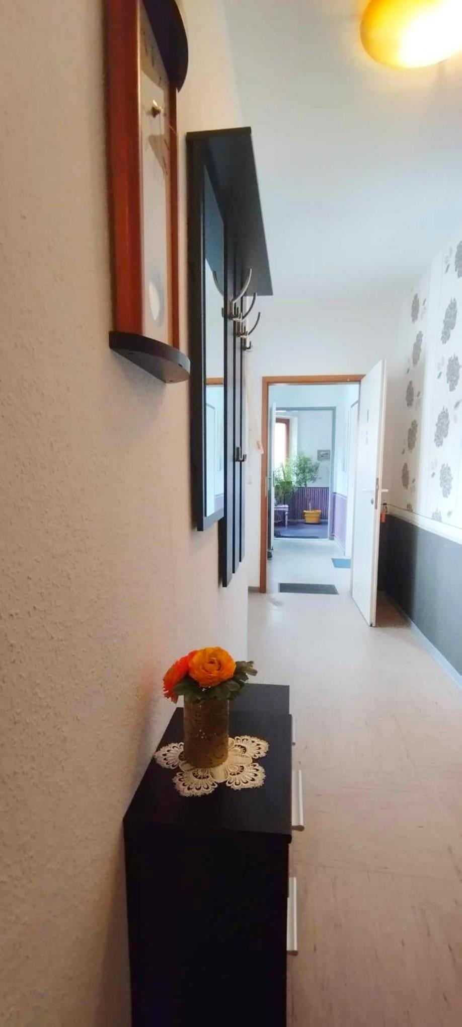 Apartment with Terrace photo 2