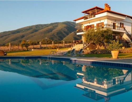 Standard Villa photo 3
