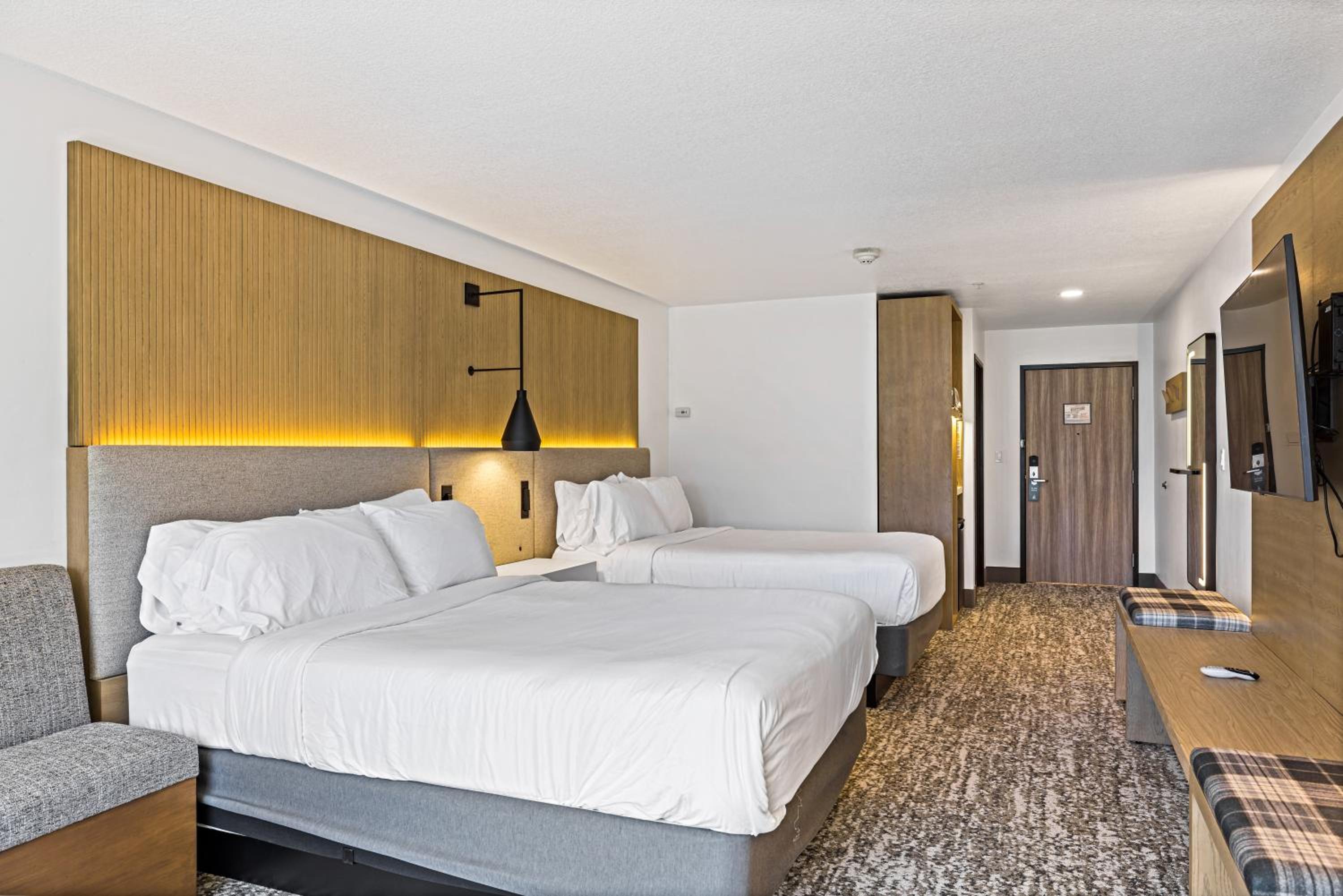 Double Room - Disability Access photo 1