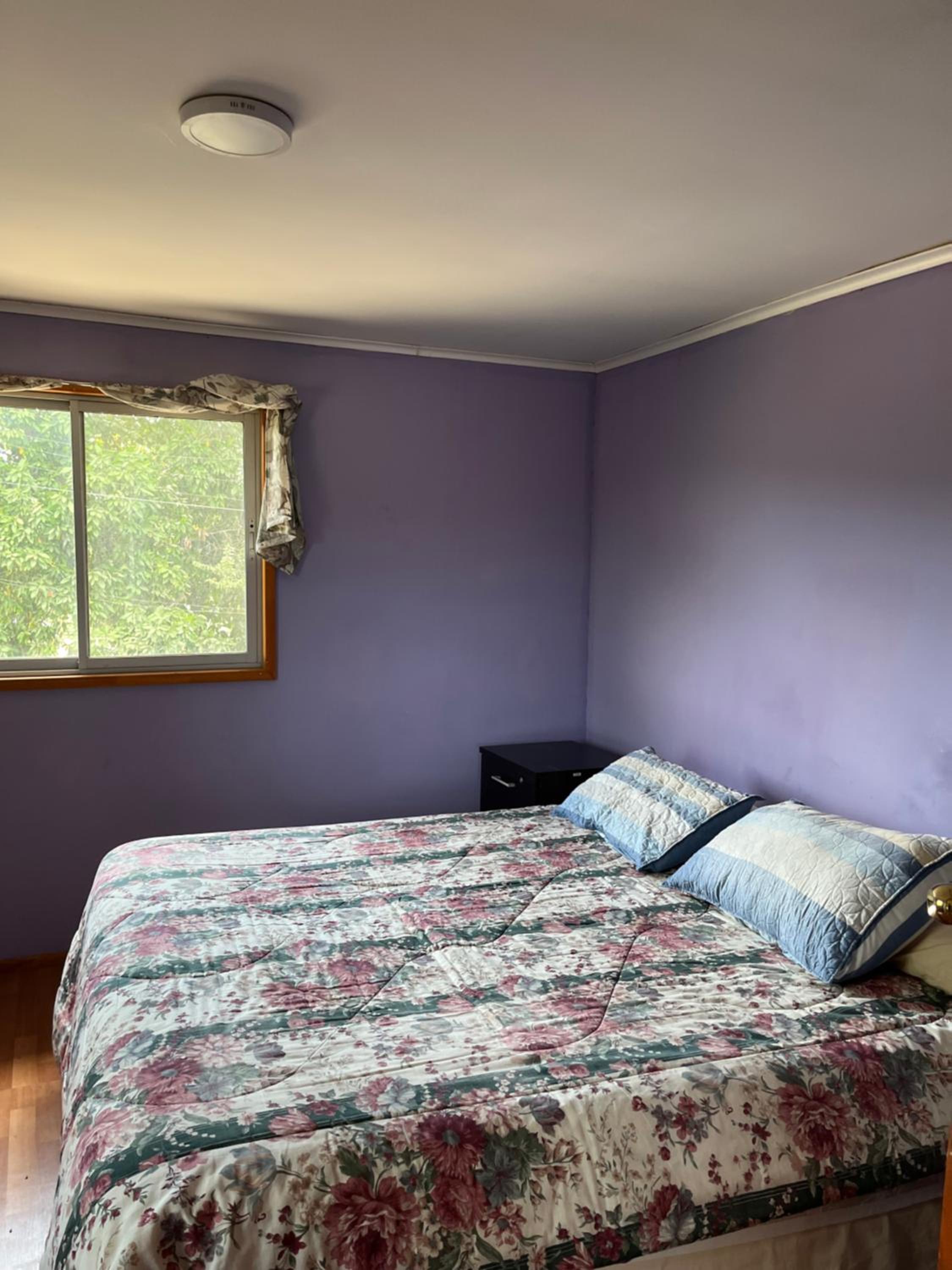 Double Or Twin Room photo 1