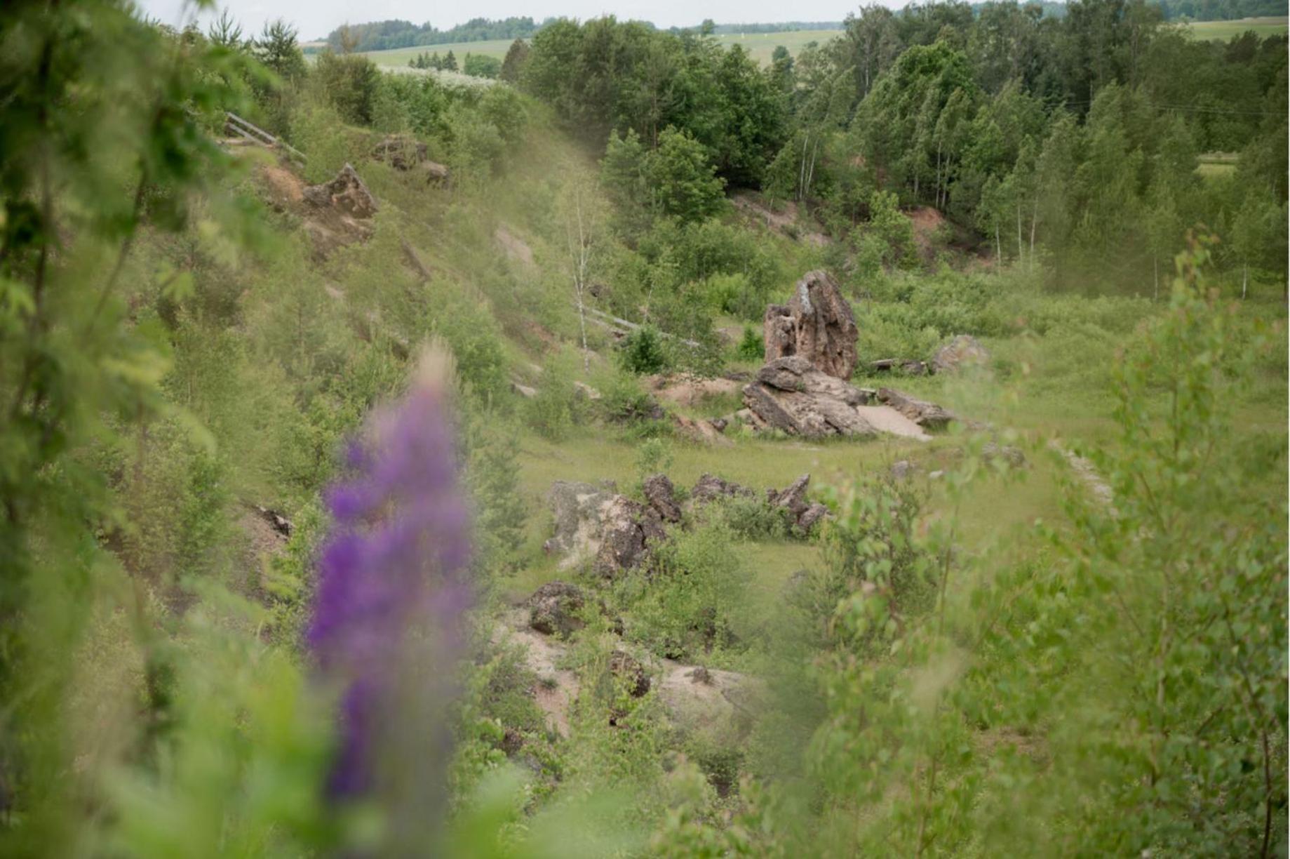 Vacation Home - Photo 8