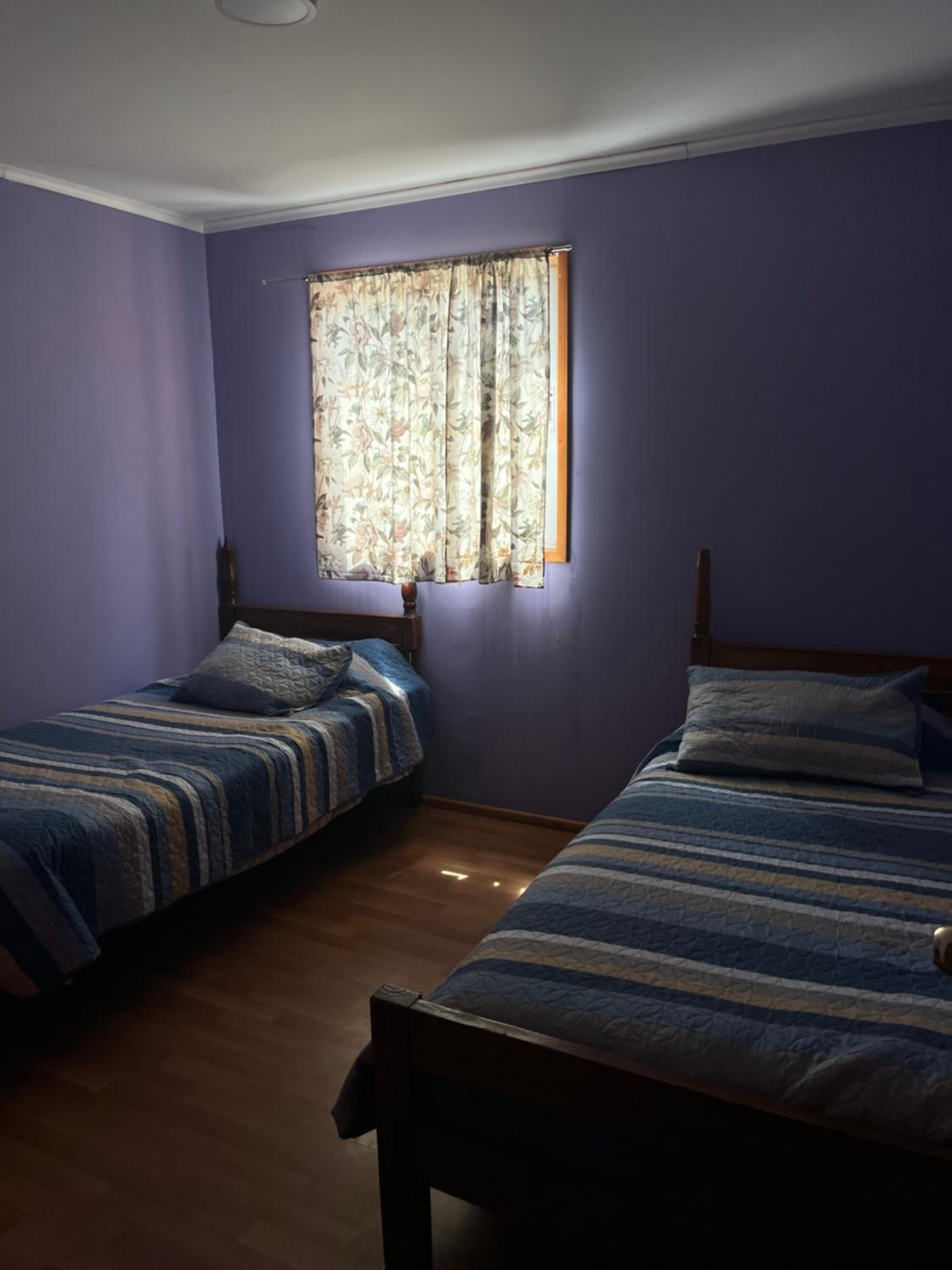 Twin Room photo 3