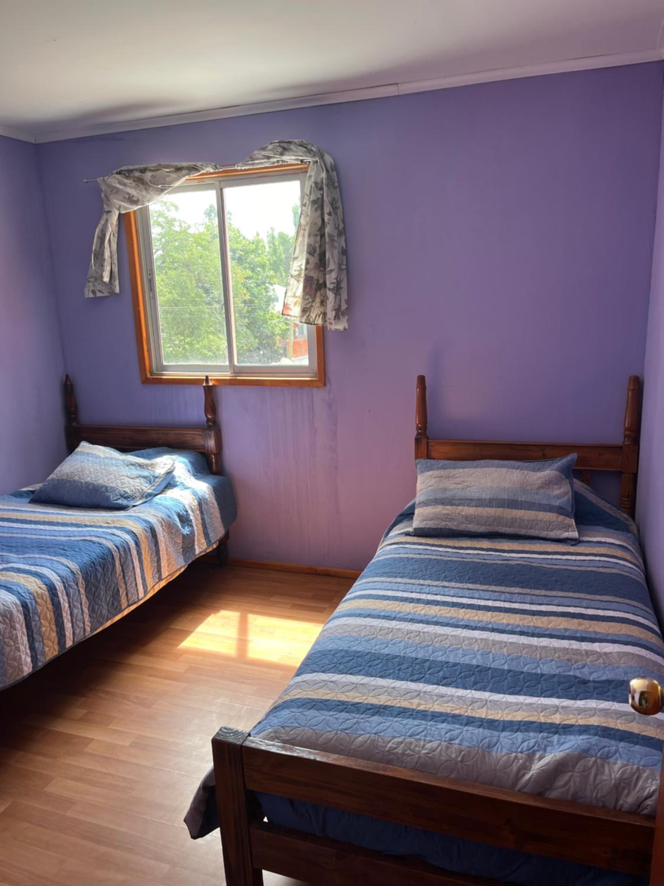 Twin Room photo 1