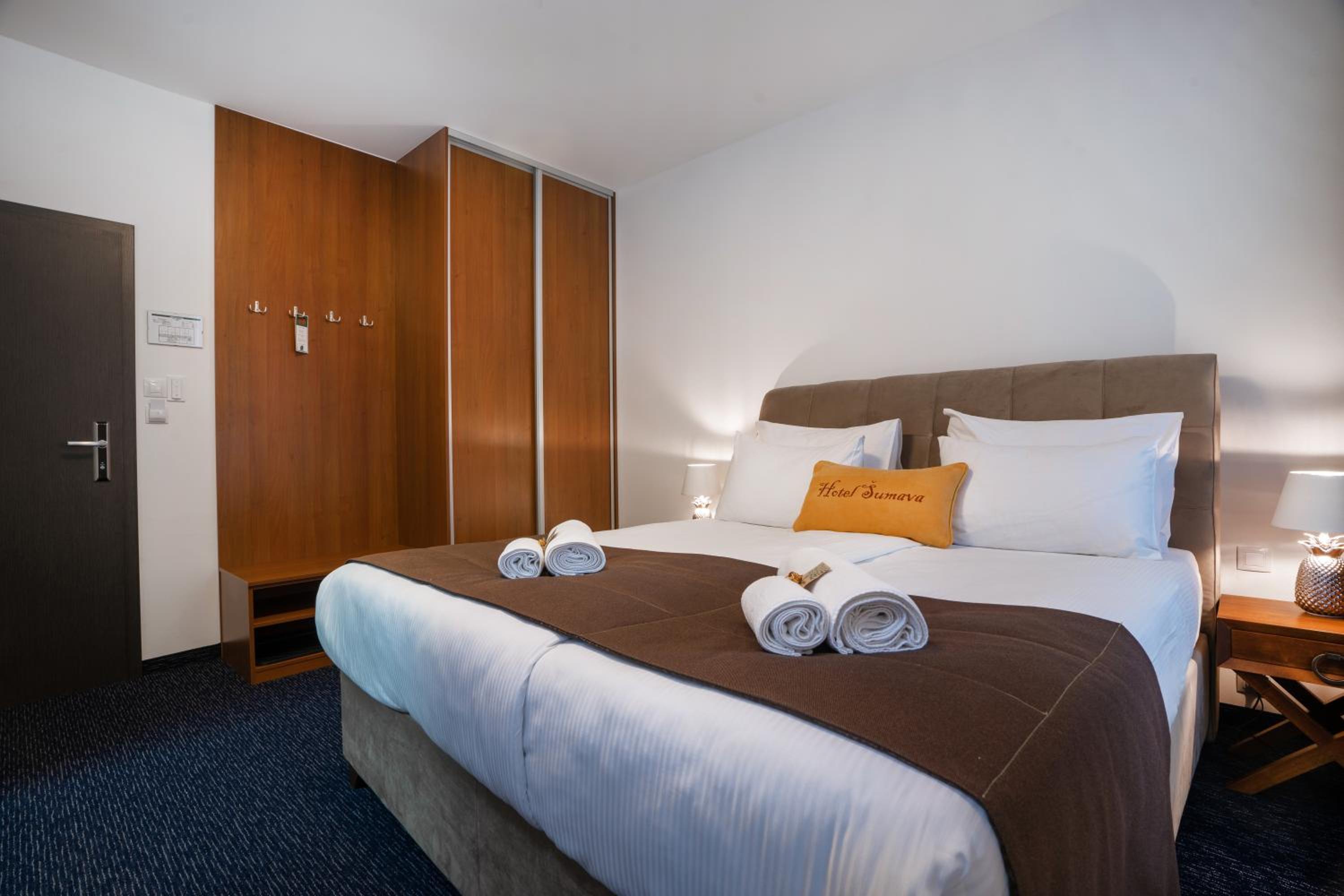 Deluxe Double Room photo 3
