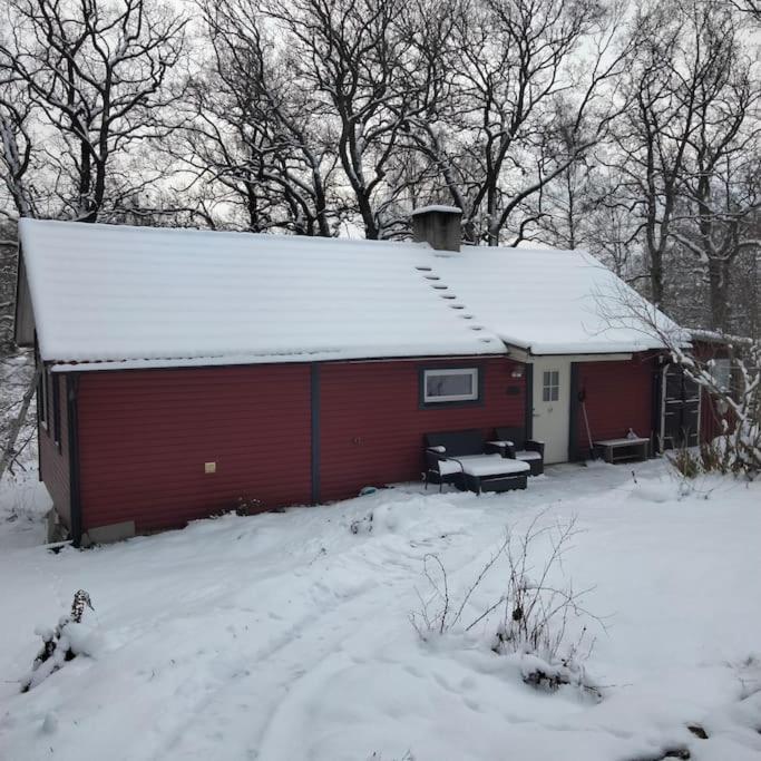 One-Bedroom House photo 2