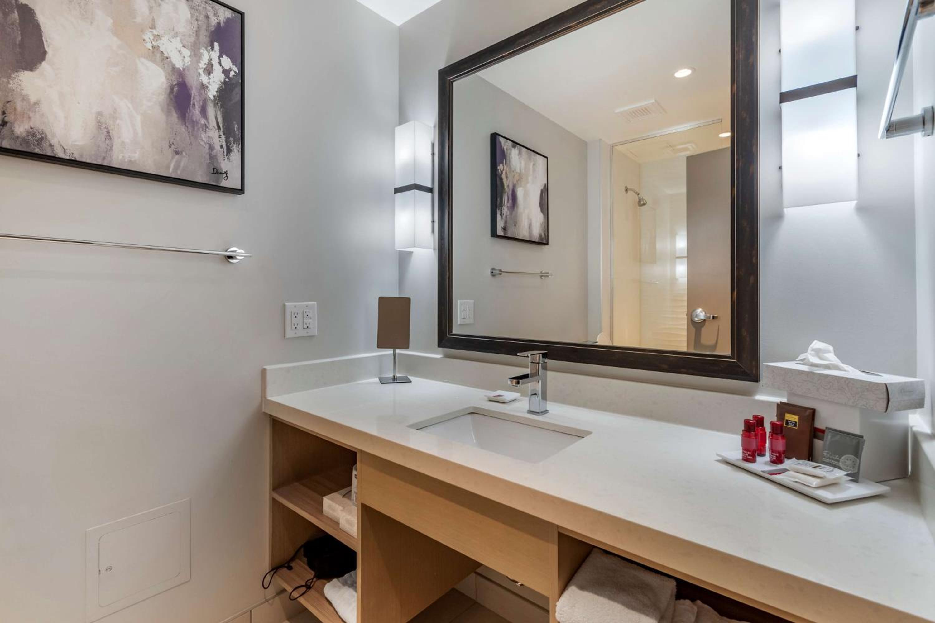 King Suite with Kitchen - Photo 5