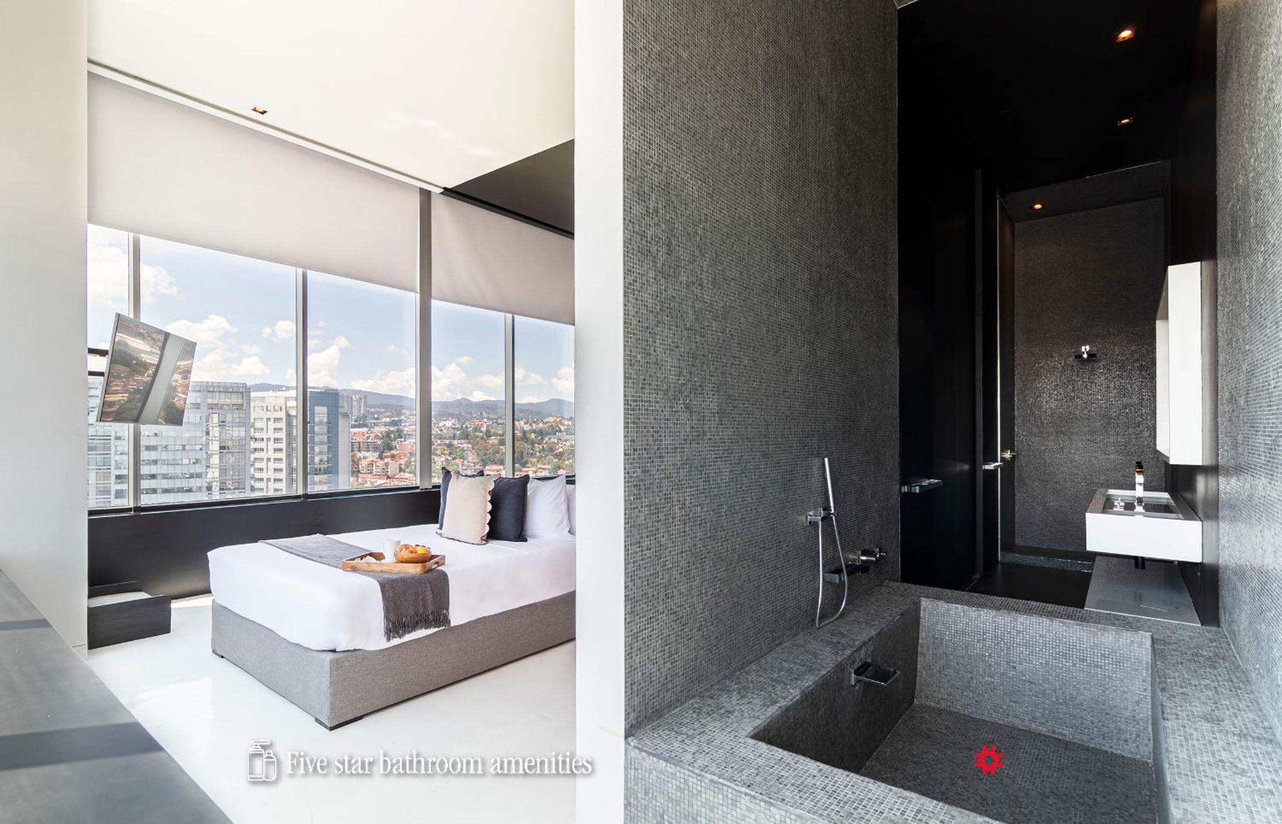 Deluxe Queen Suite - Photo 24