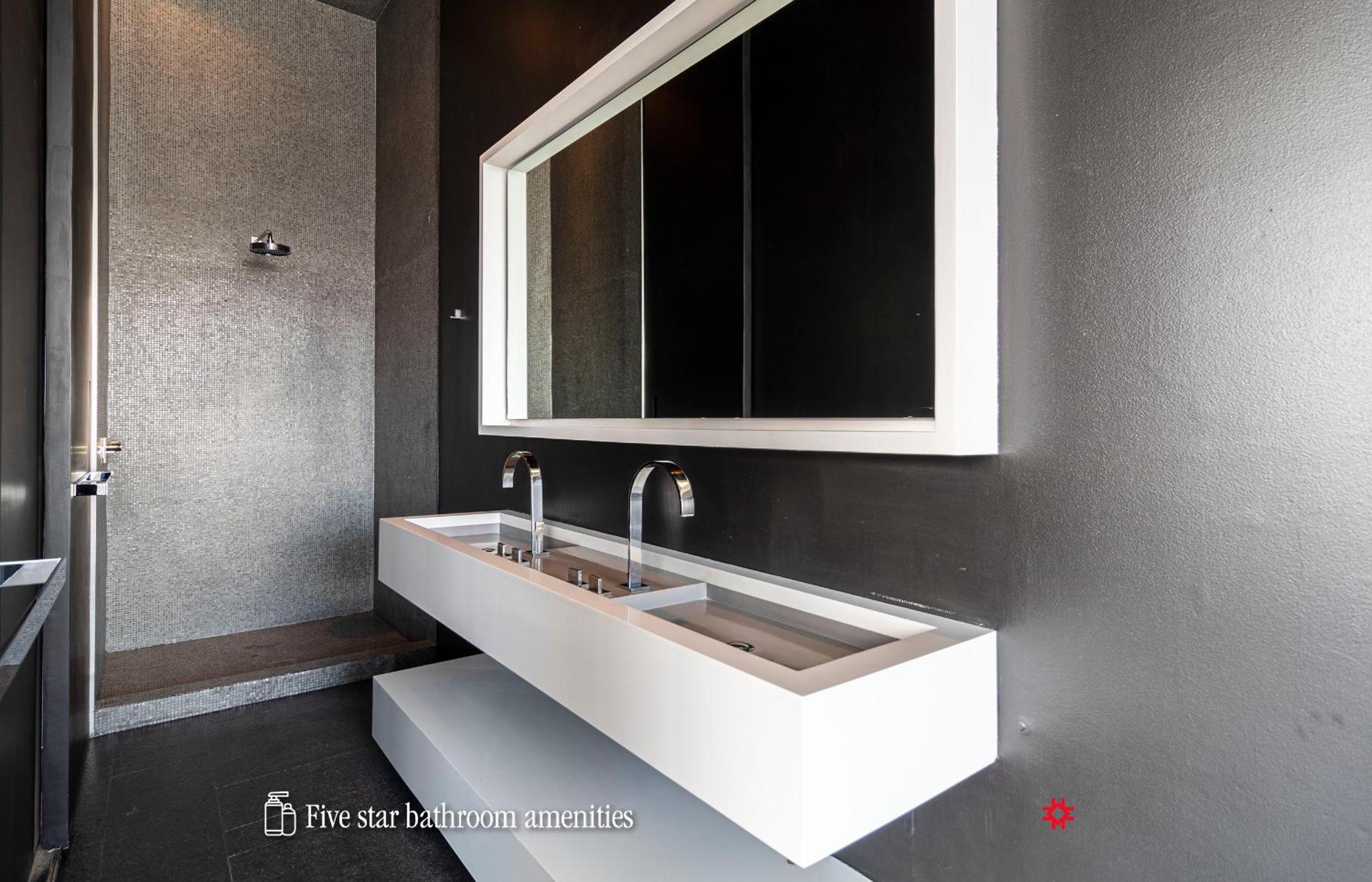 Deluxe Queen Suite - Photo 15