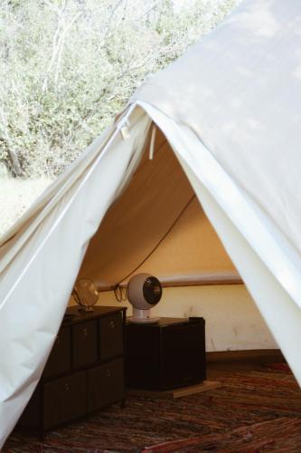 Tent photo 2