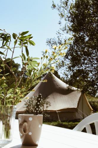 Tent photo 1