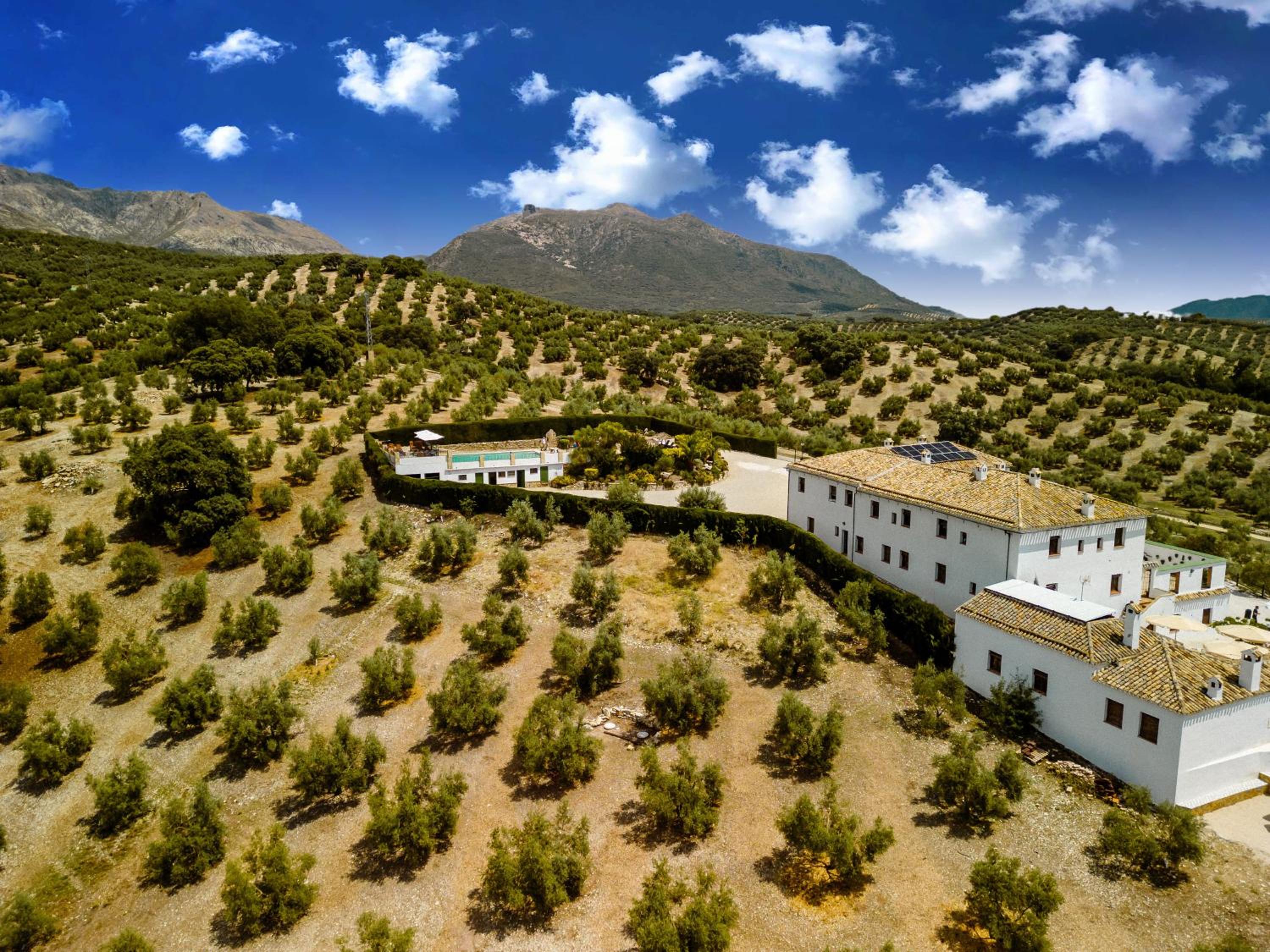 Cortijo La Presa (no translation needed as it is a specific name), Billede 7