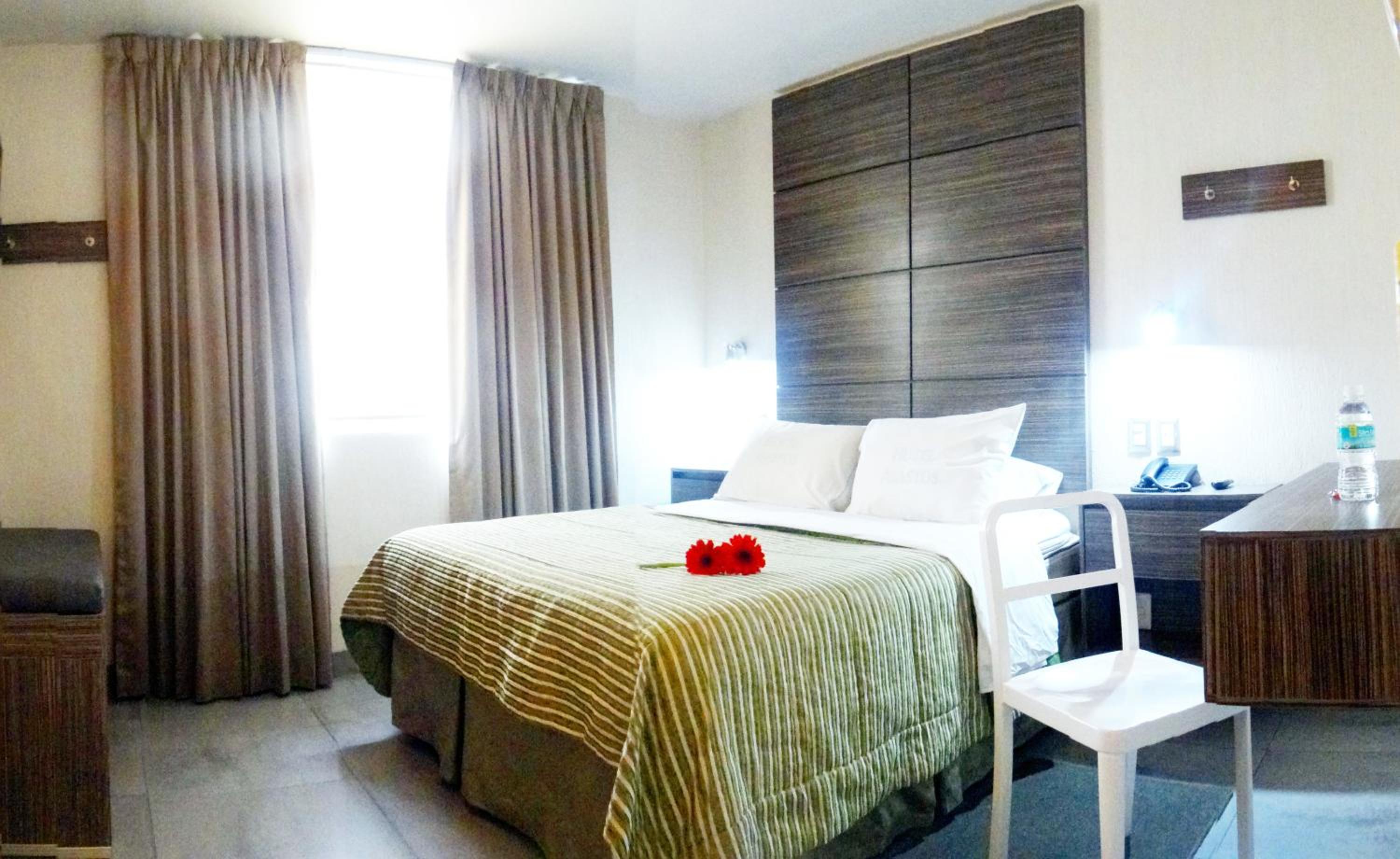 Queen Room - Photo 21