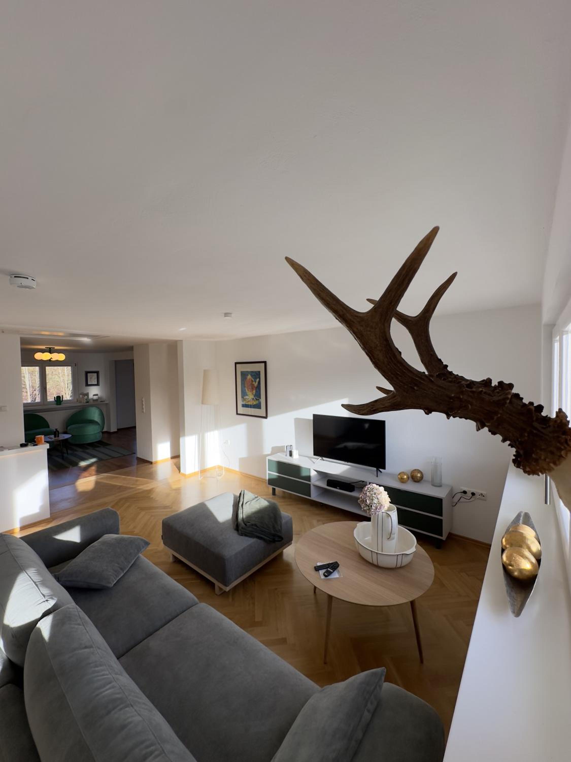 Superior One-Bedroom Apartment with Balcony photo 2