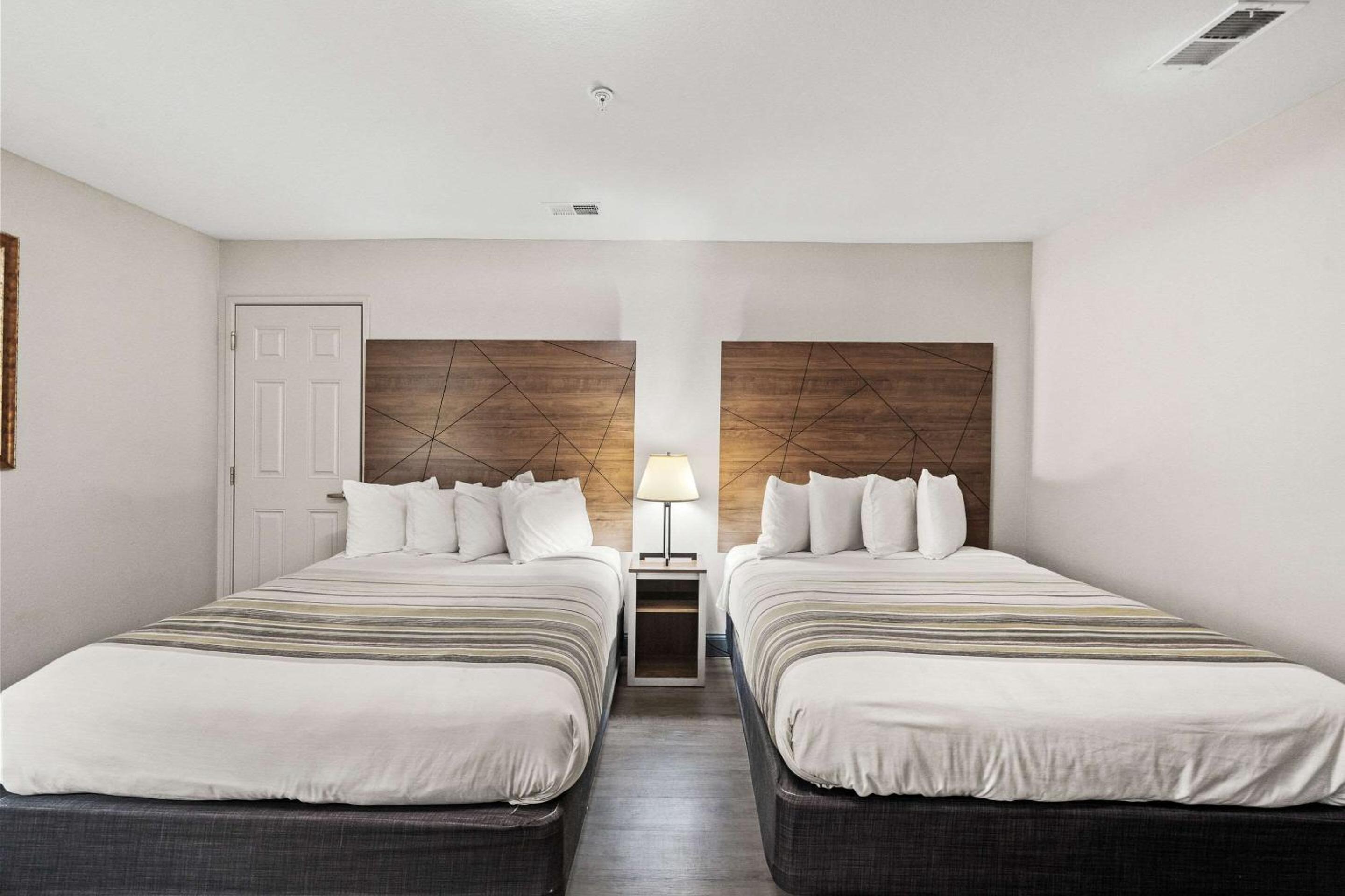 Queen Suite with Four Queen Beds - Non Smoking