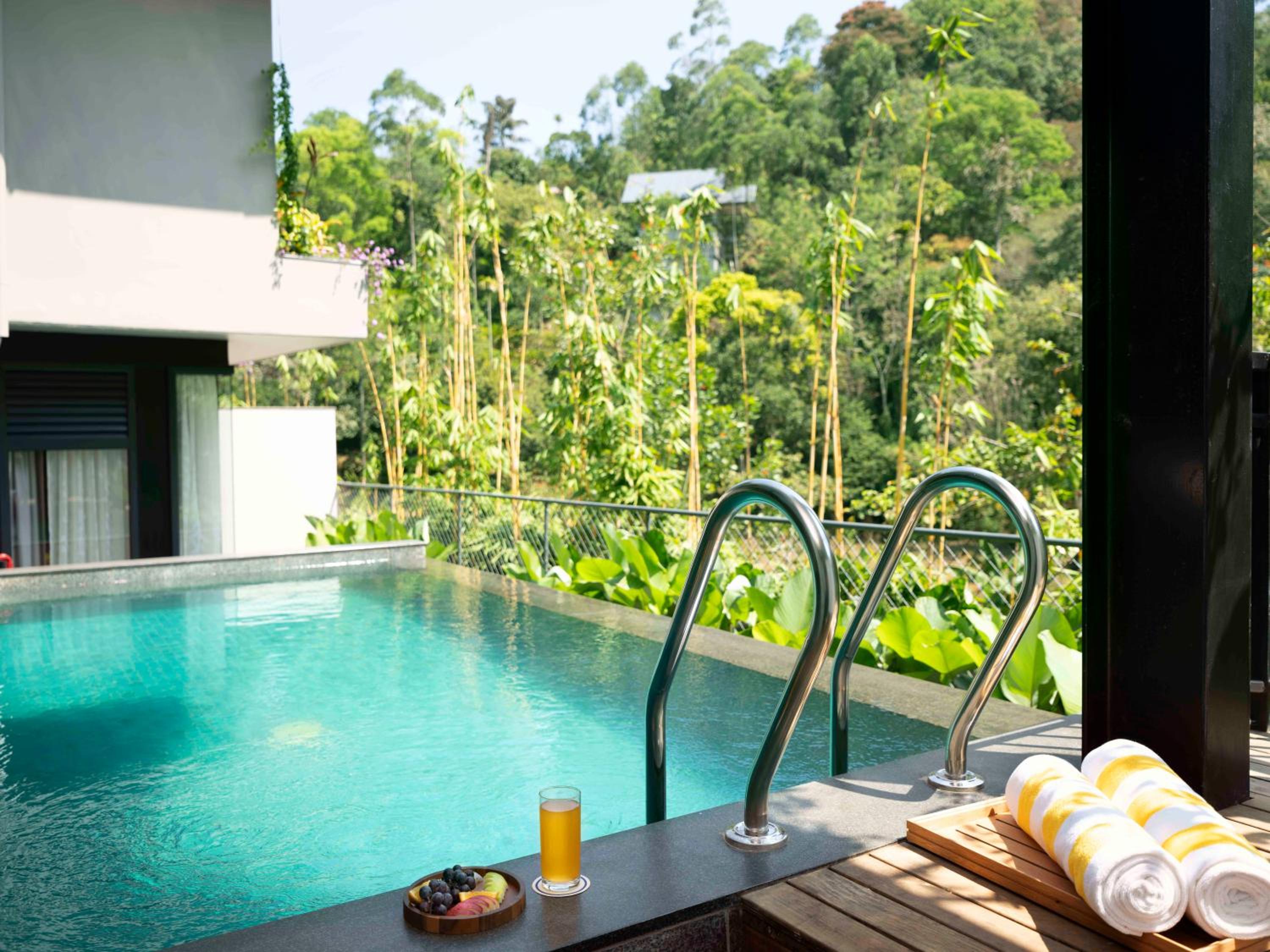 Premium Room with Plunge Pool photo 3