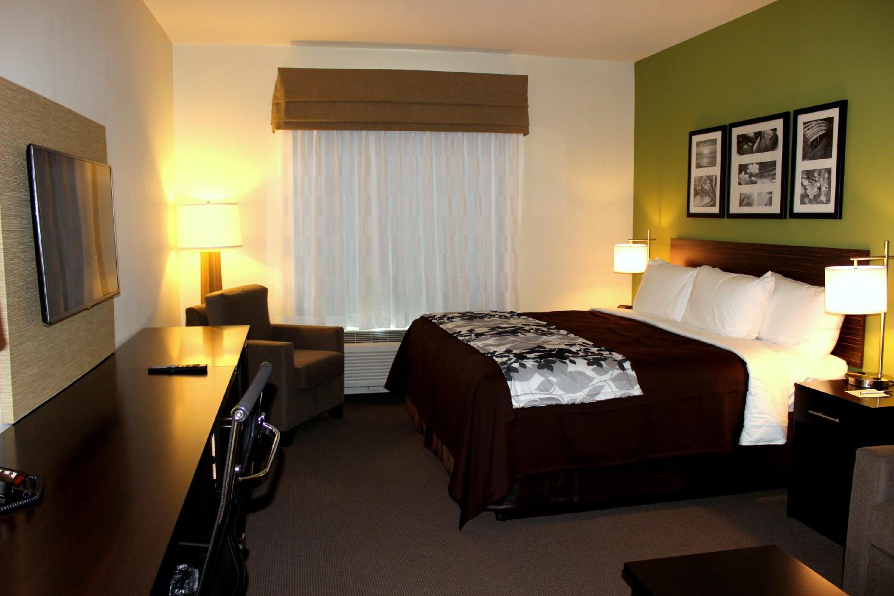 King Suite - Accessible/Non-Smoking photo 3