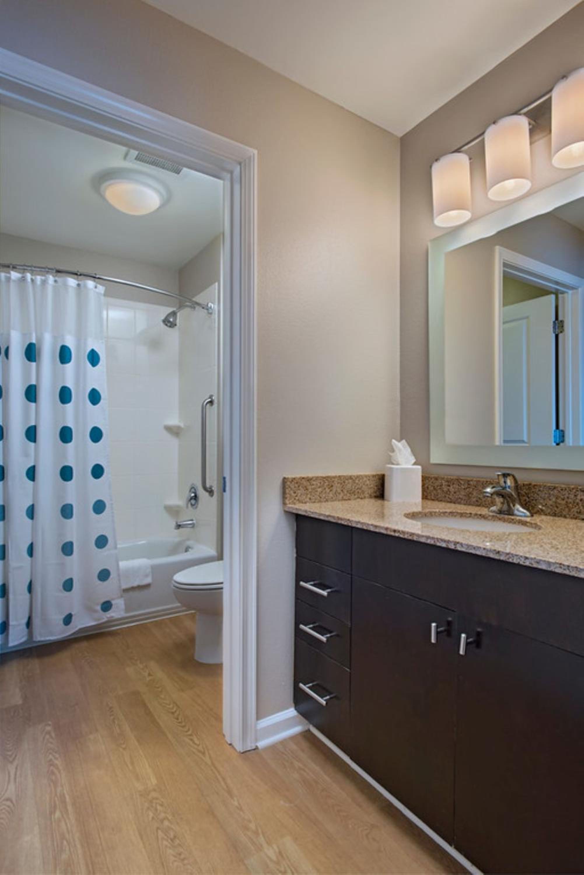 One-Bedroom King Suite - Photo 4