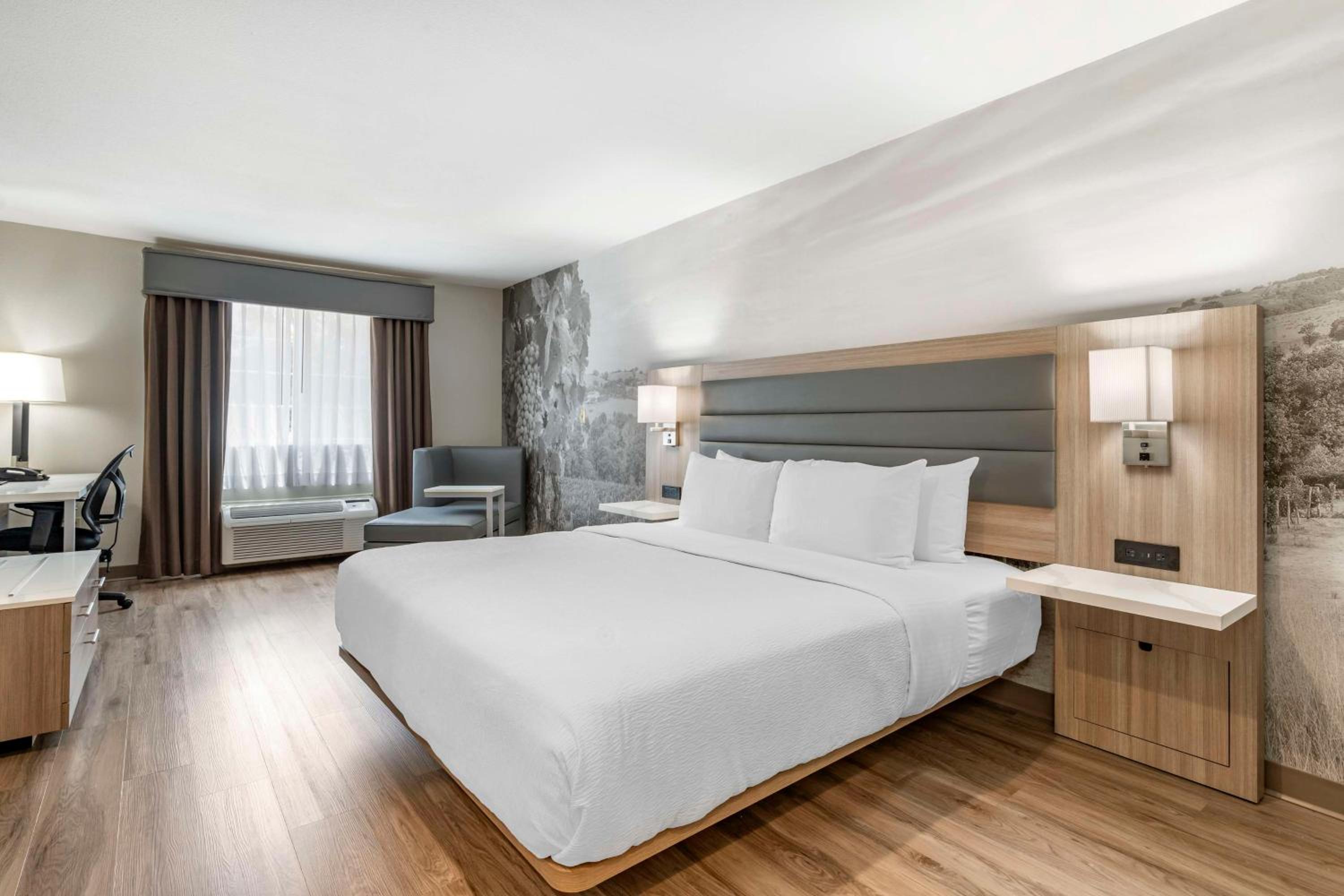 Standard King Room - Photo 1