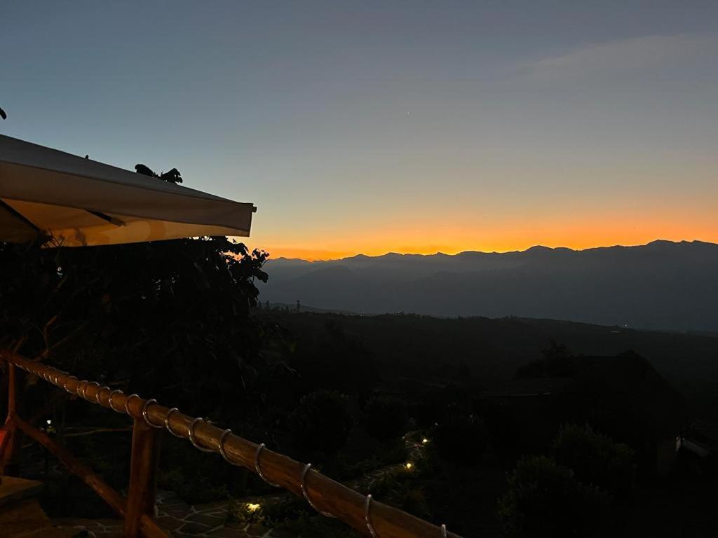 Double Room With Terrace photo 2