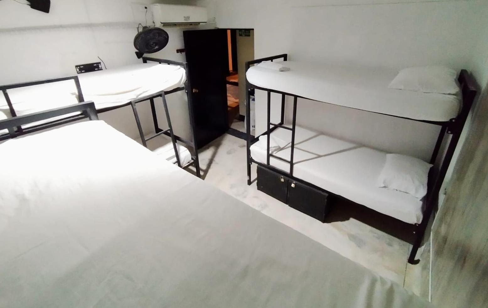 Single Bed in 6-Bed Dormitory Room photo 3