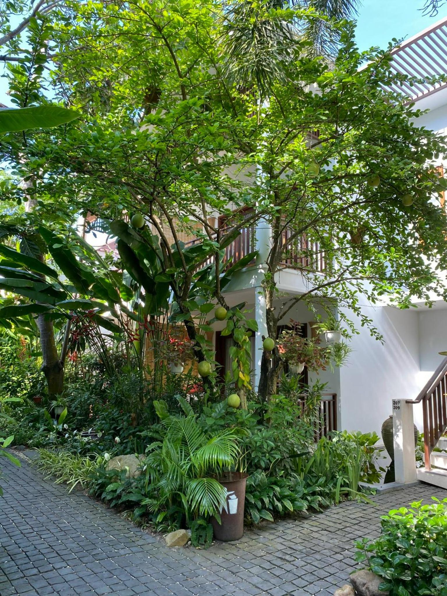 Garden Deluxe Room - Photo 6