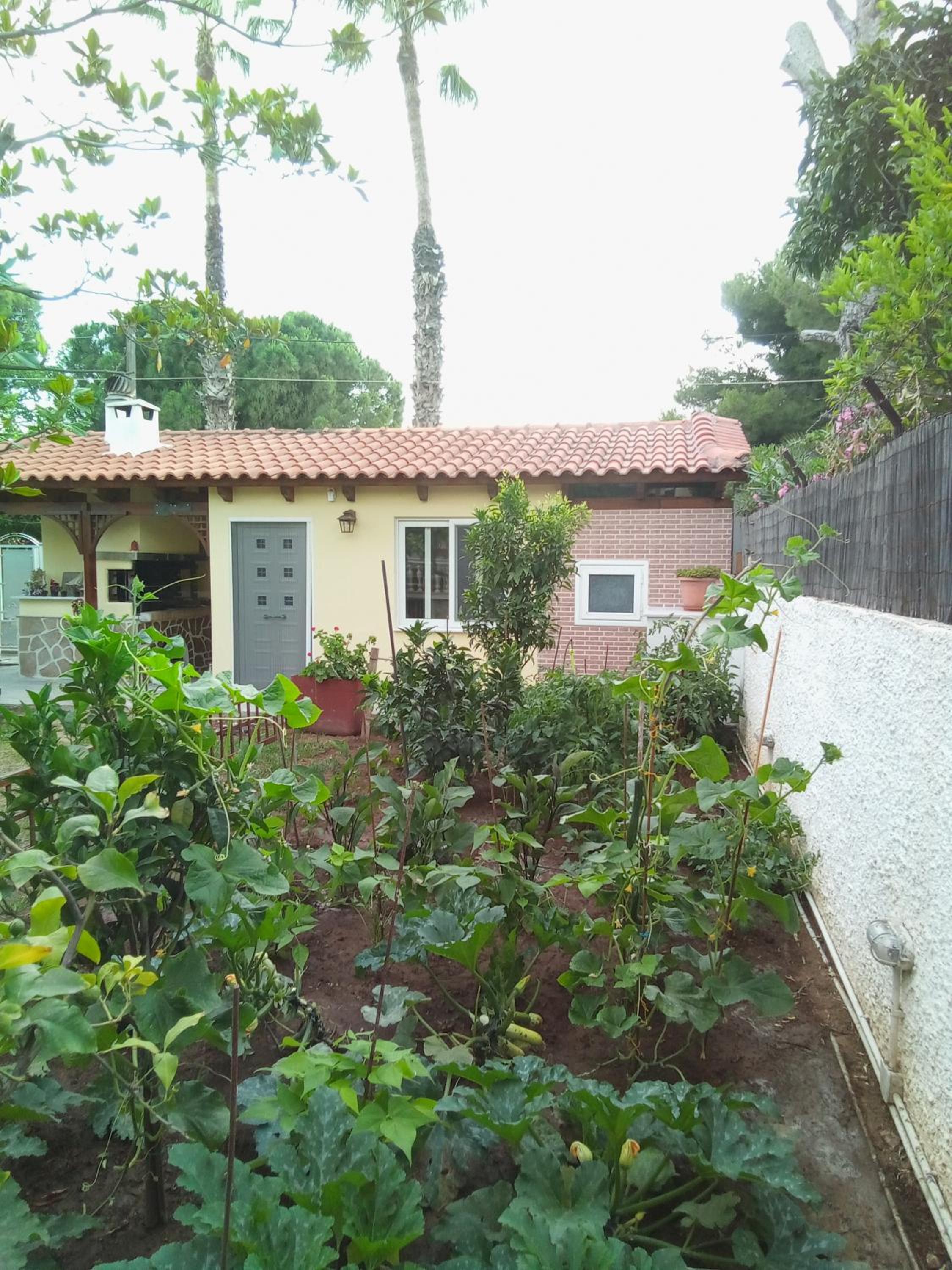 Studio with Garden View - Photo 11