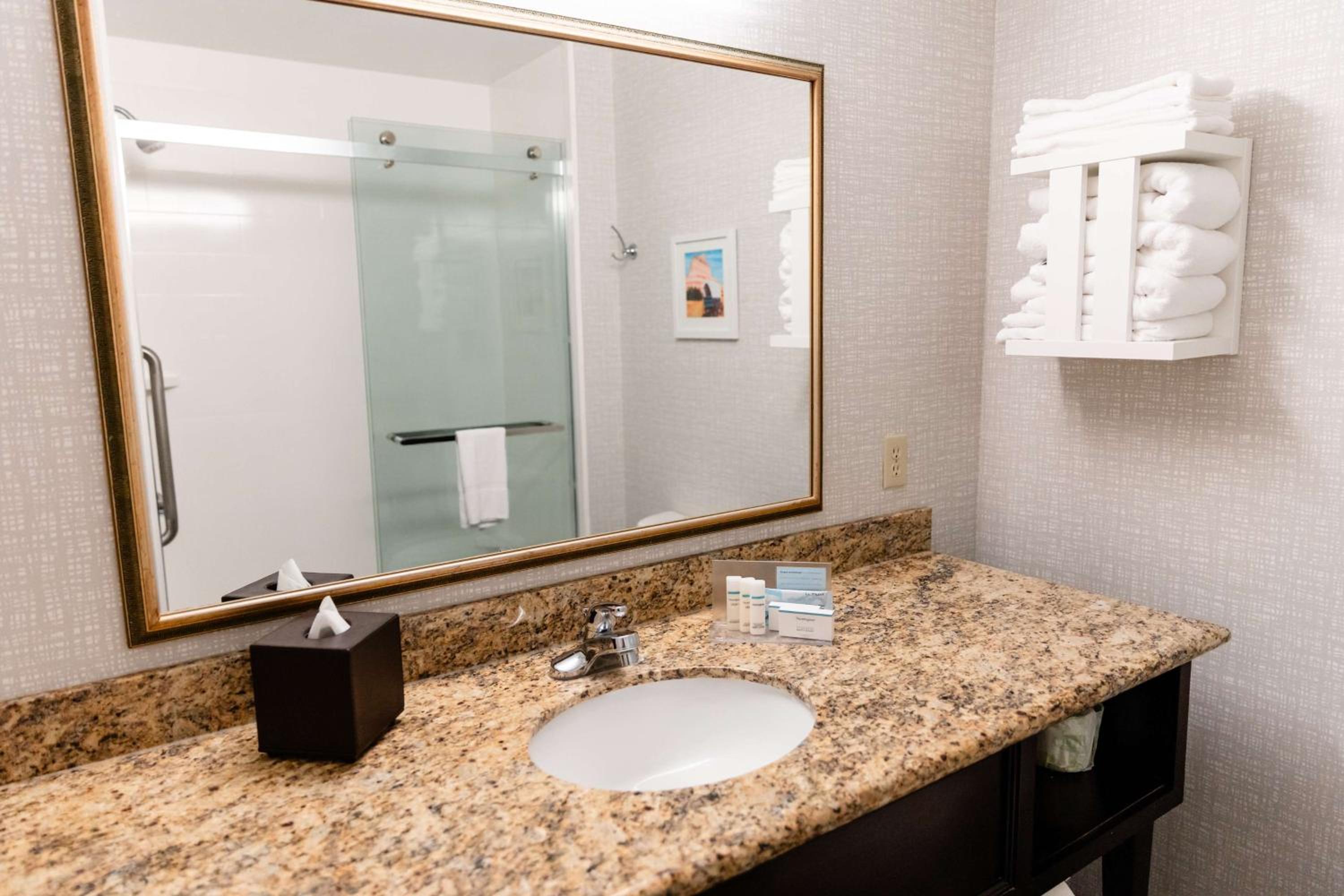 King Studio Suite - Non-Smoking - Photo 4