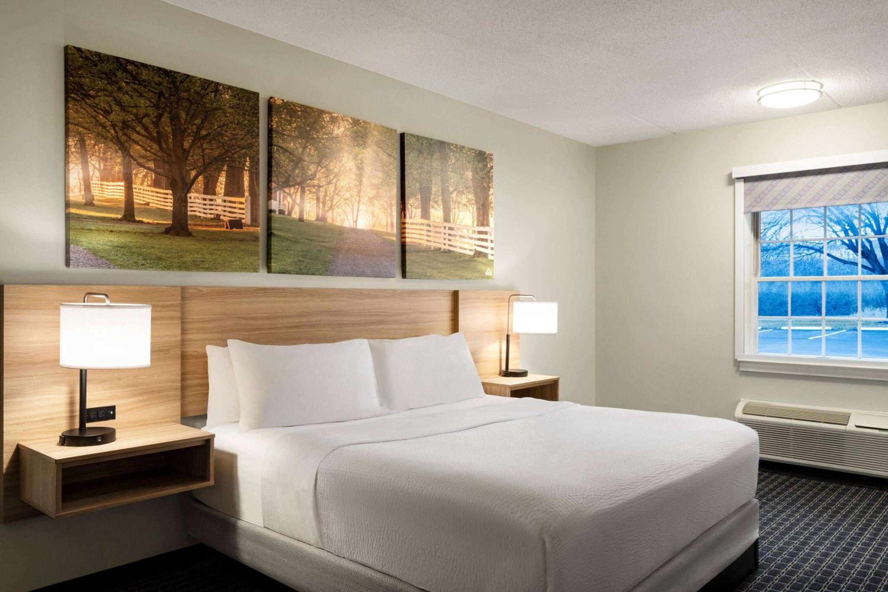 King Room - Non-Smoking - Photo 1
