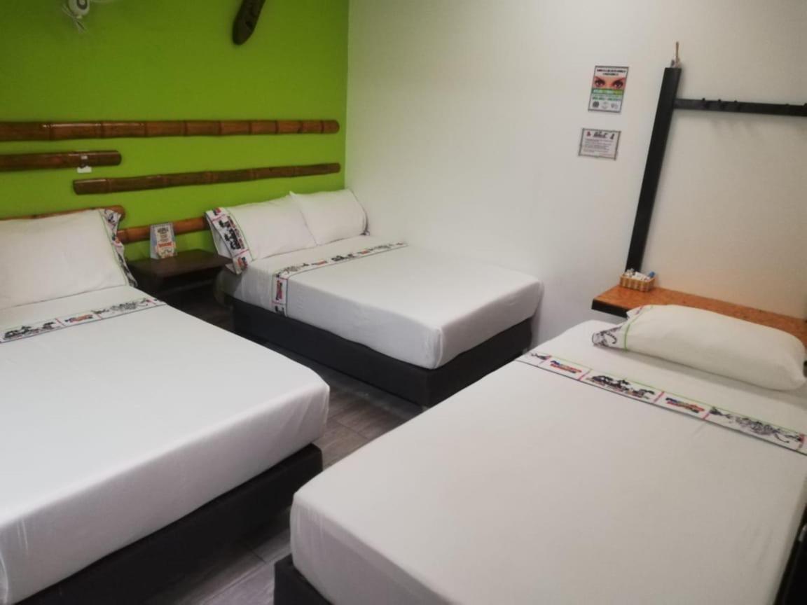 Triple Room photo 3