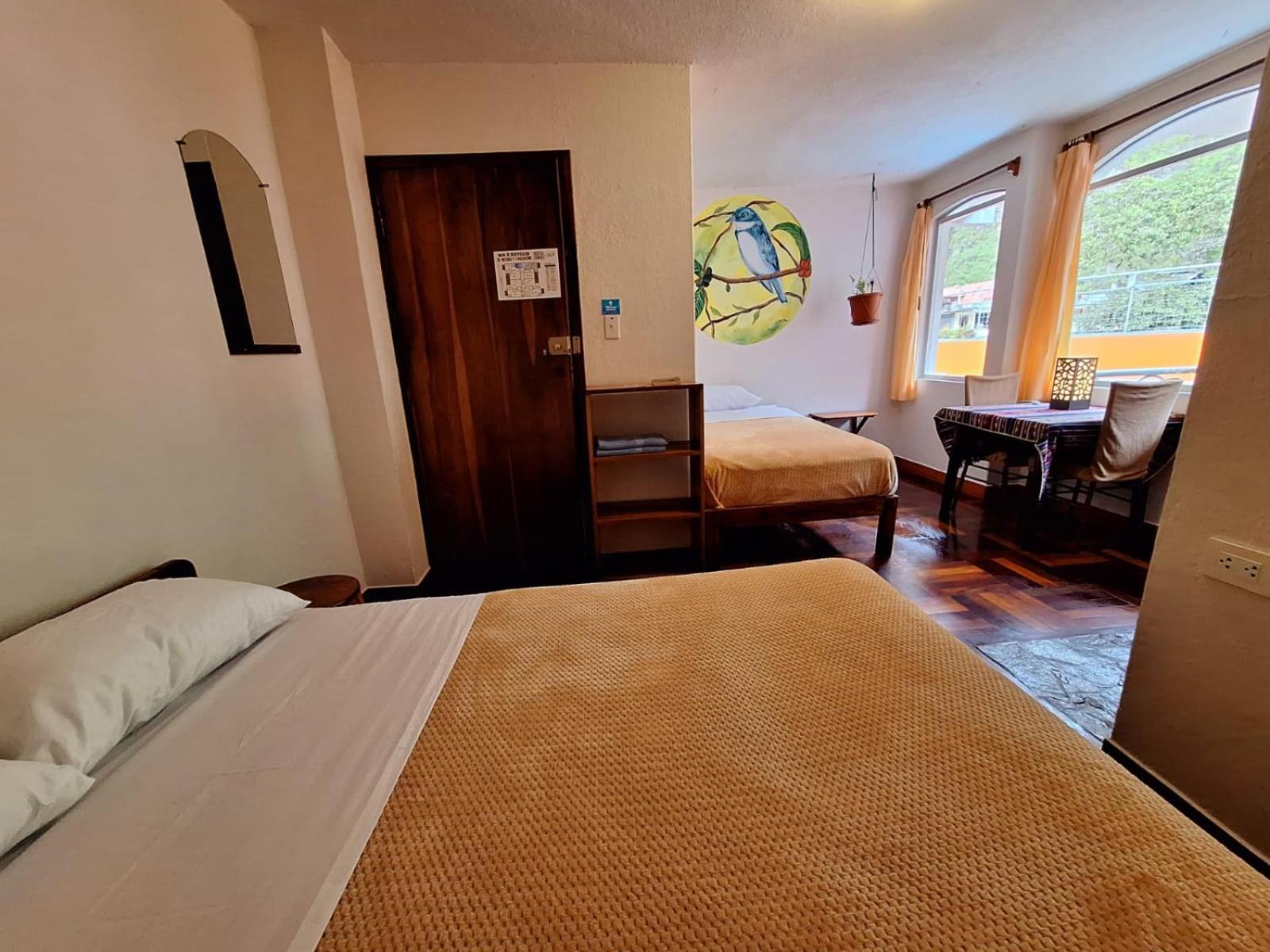 Twin Room photo 1
