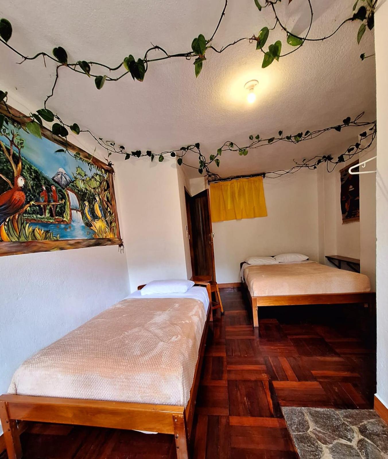 Twin Room photo 2