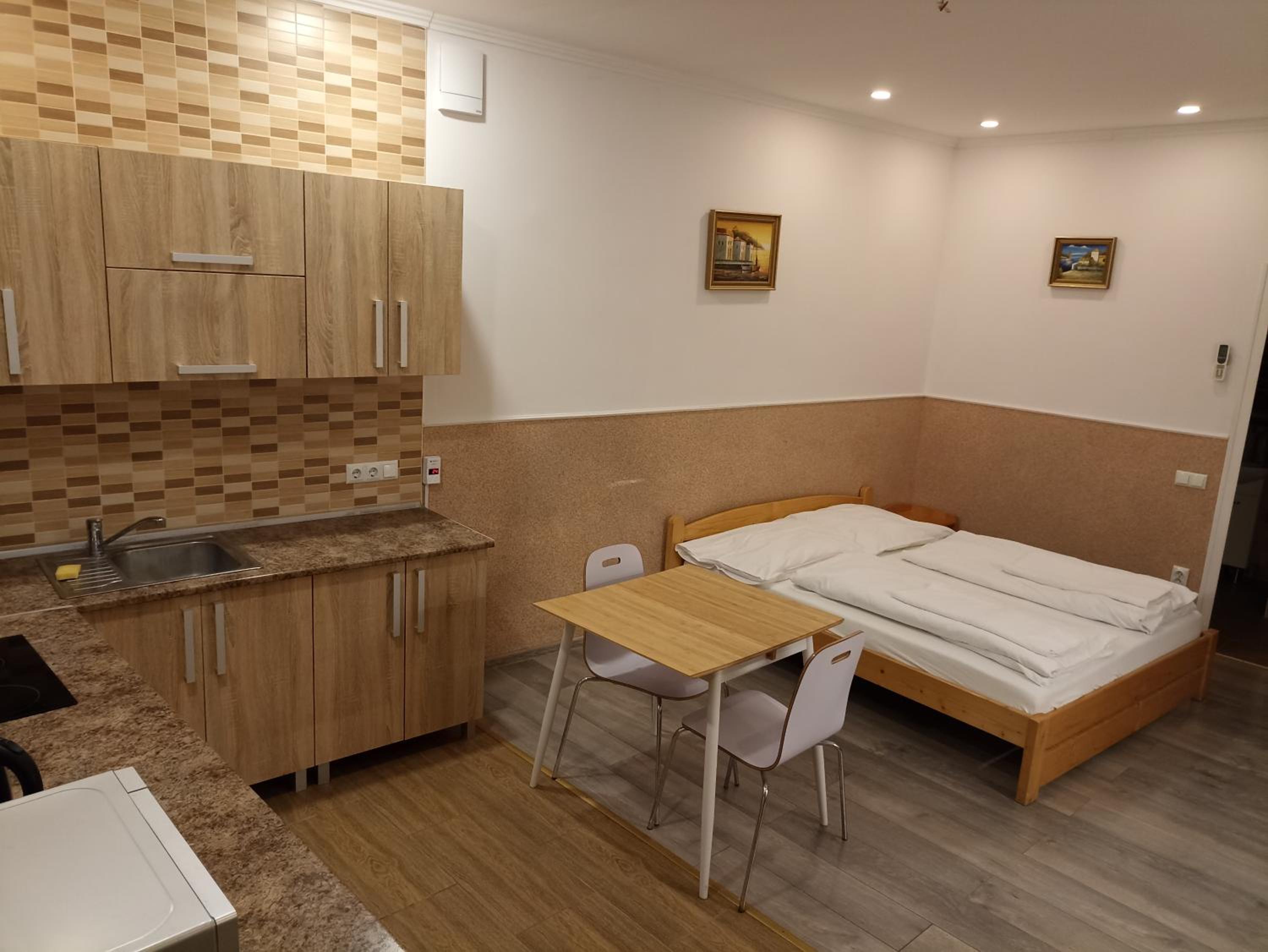 Studio Apartment