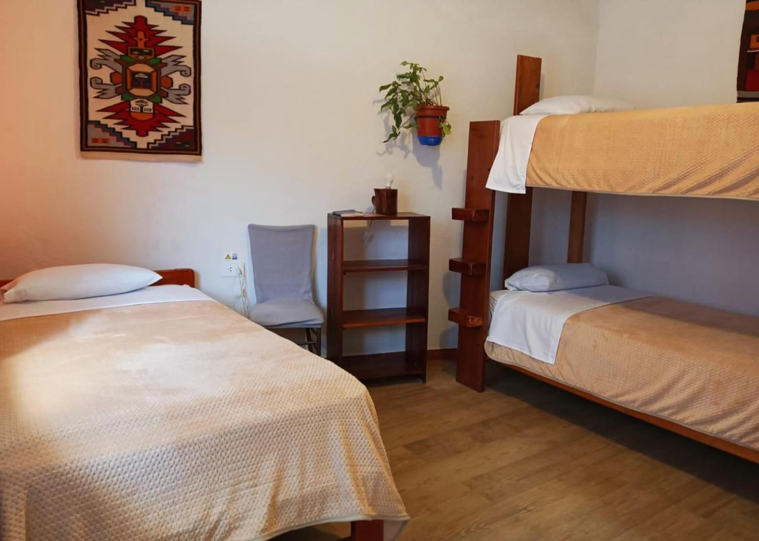 Triple Room photo 1