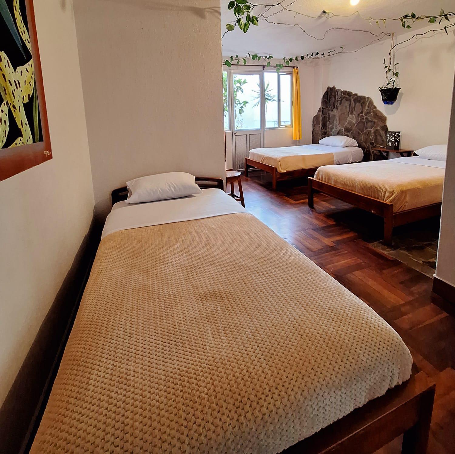 Triple Room photo 2
