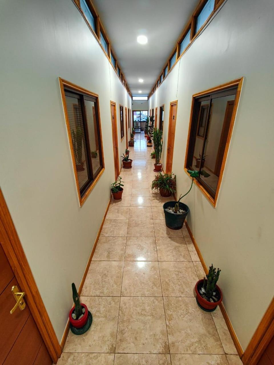 Twin Room with Private Bathroom photo 3