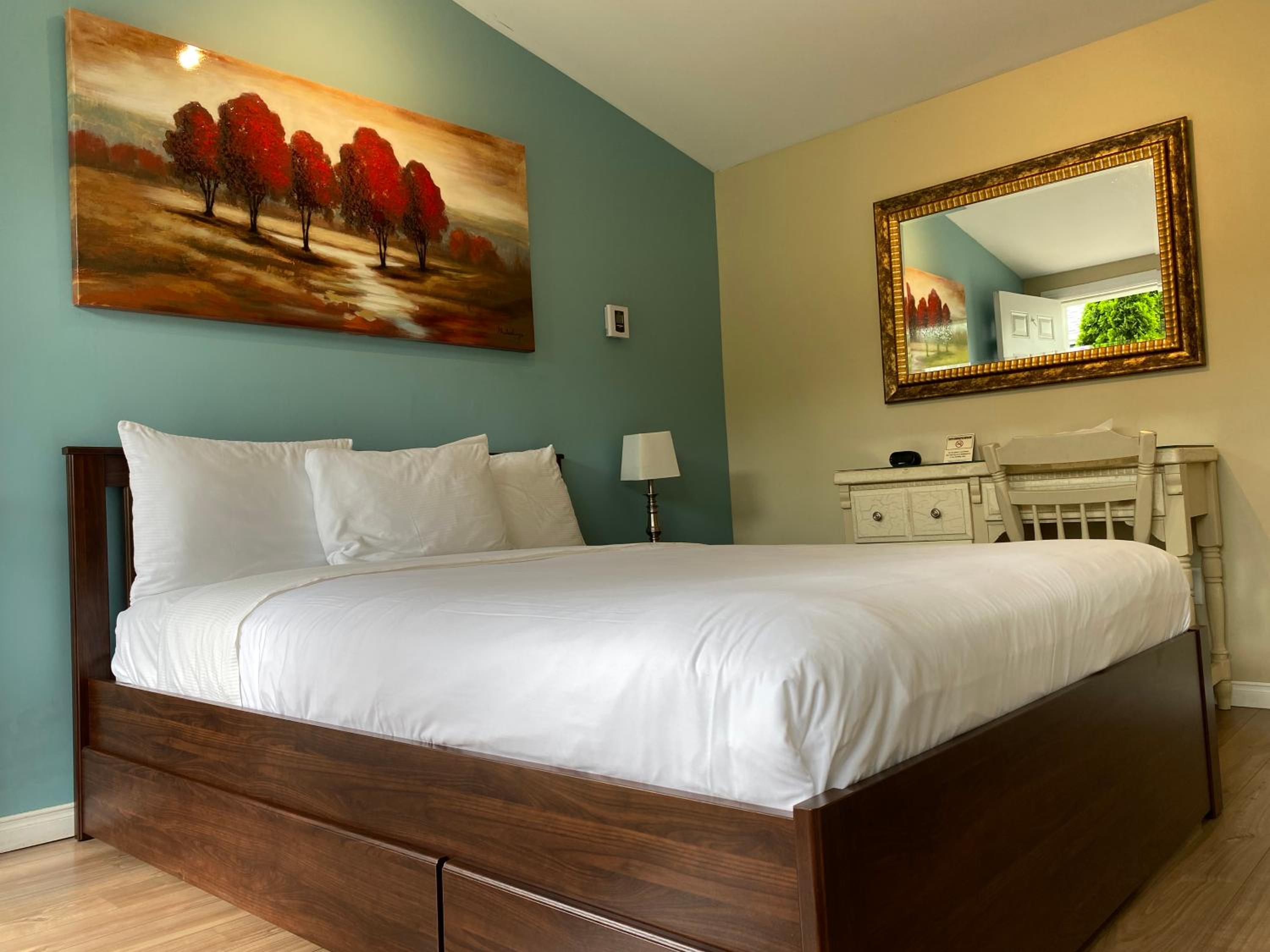 Deluxe Double Room photo 3