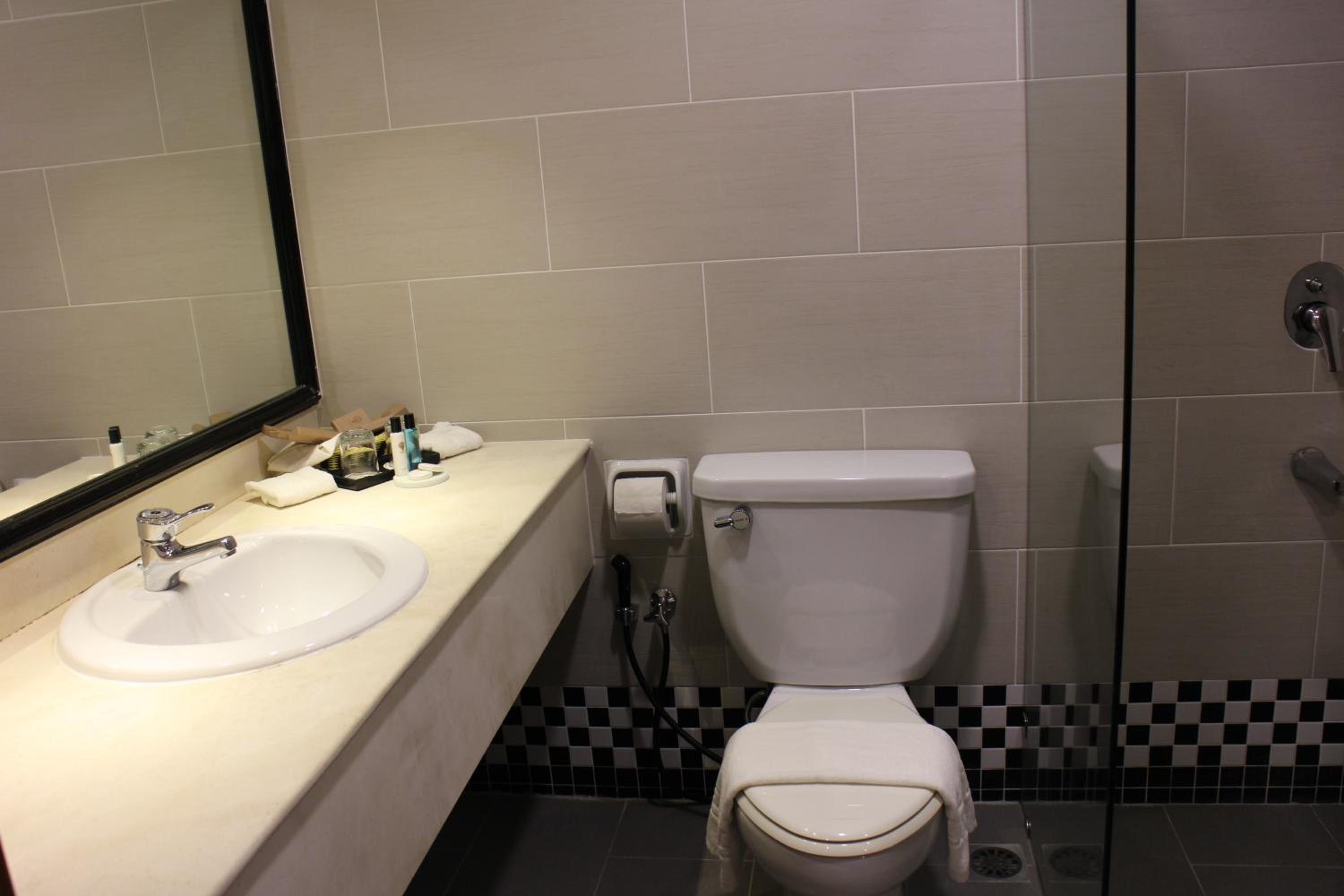 Deluxe Double or Twin Room photo 3