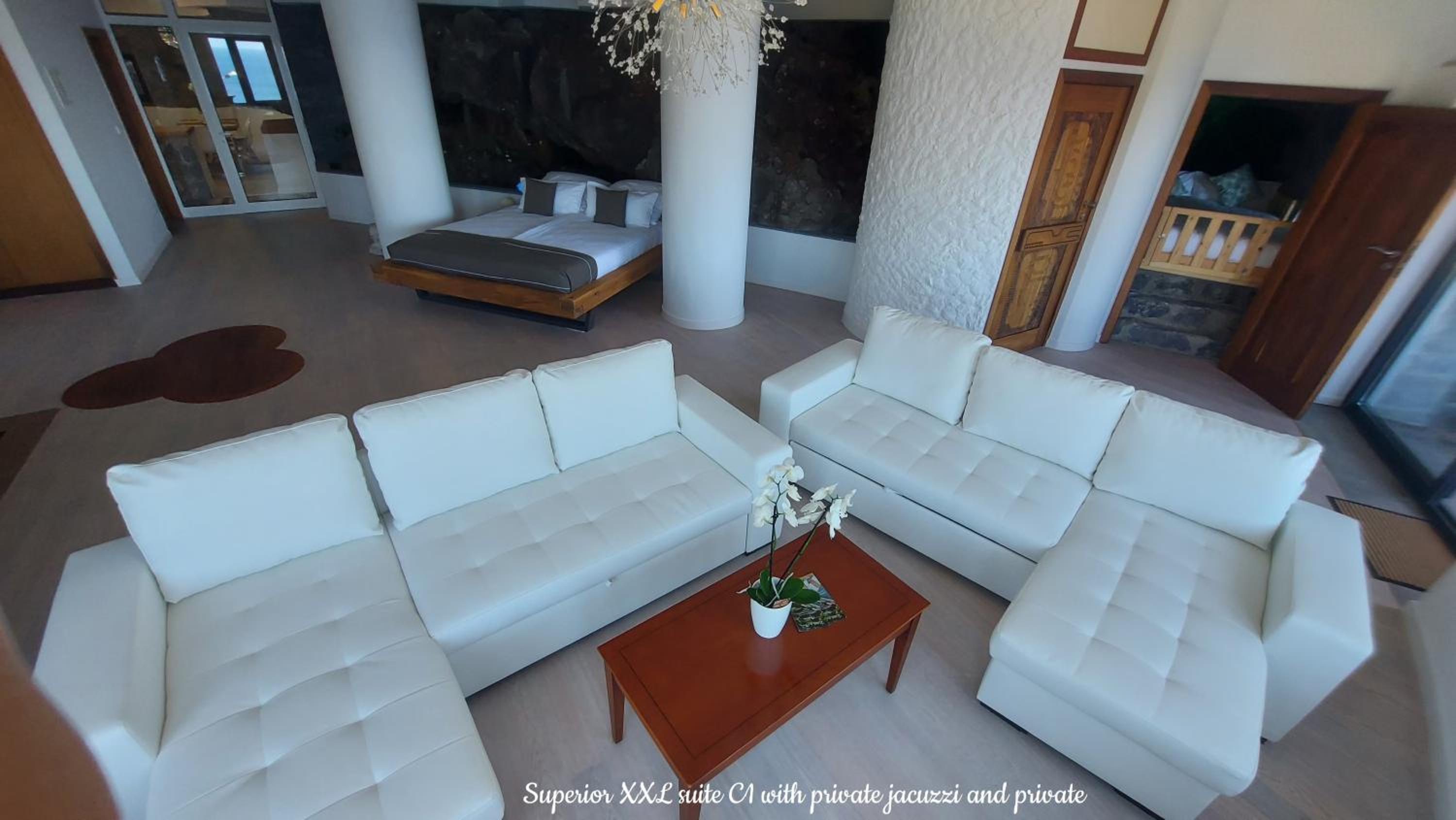 Suite with Private Pool photo 3